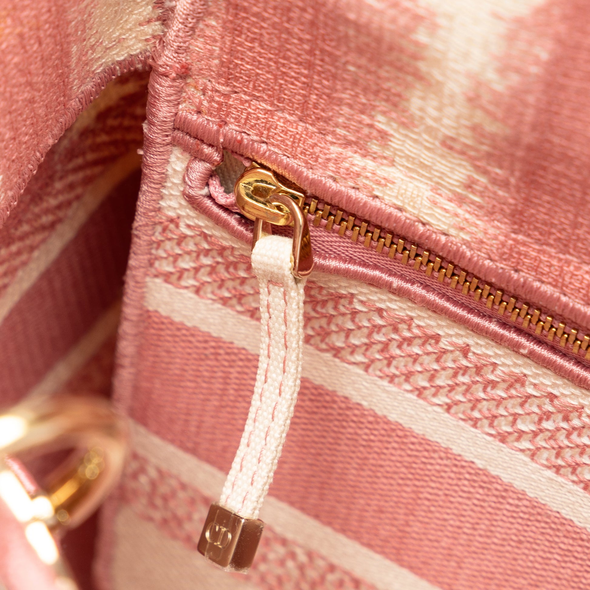 Dior Medium Embroidered Canvas D Stripes Lady D Lite
