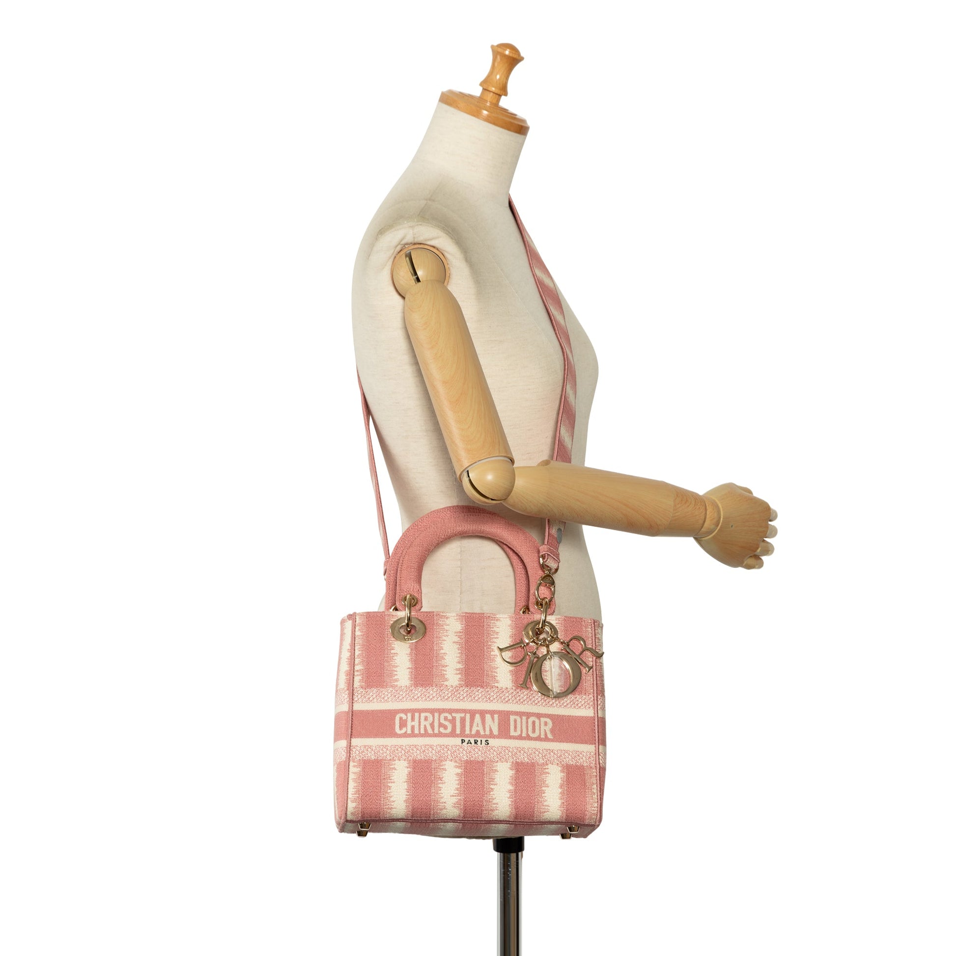 Dior Medium Embroidered Canvas D Stripes Lady D Lite
