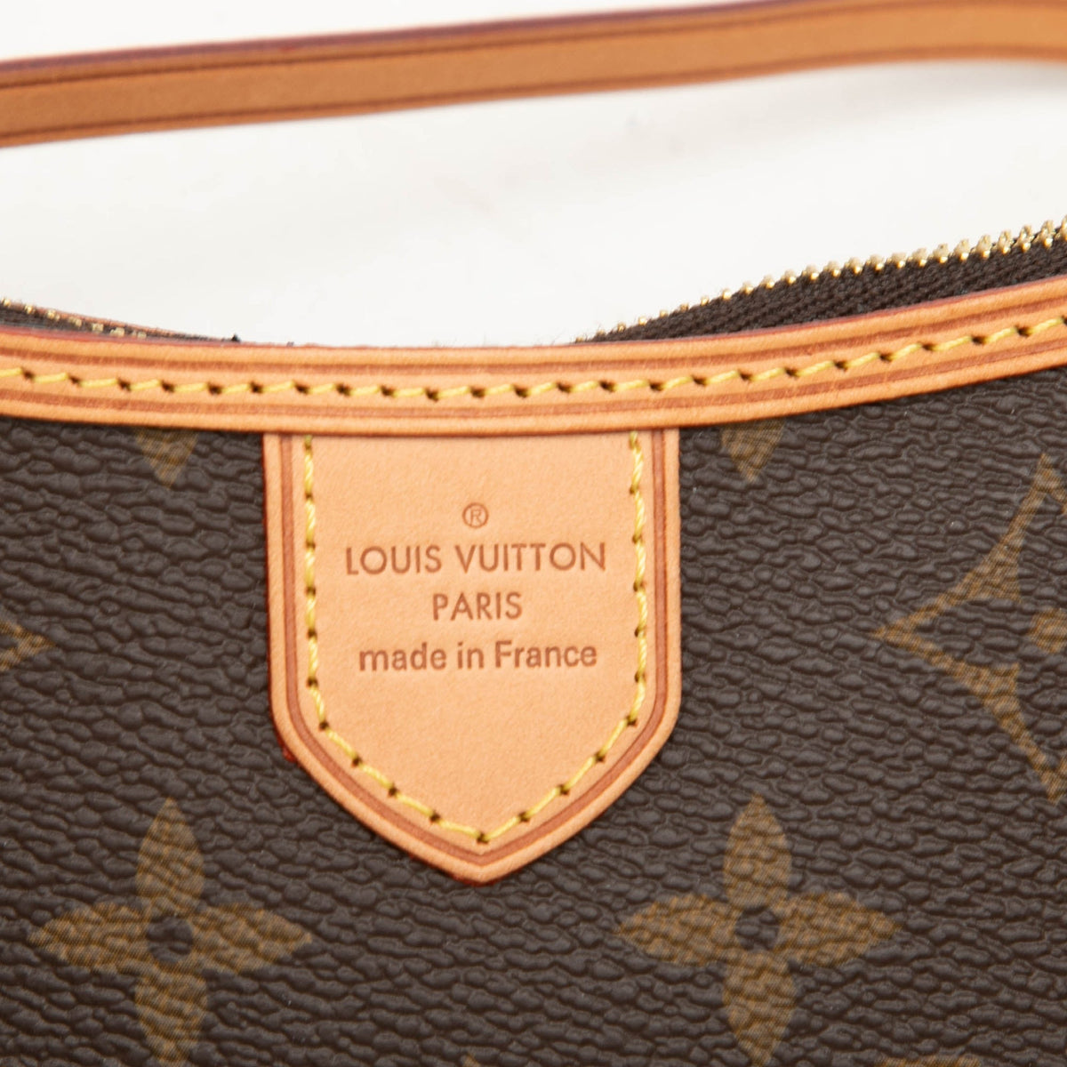 Louis Vuitton Monogram Mini Delightful Pochette