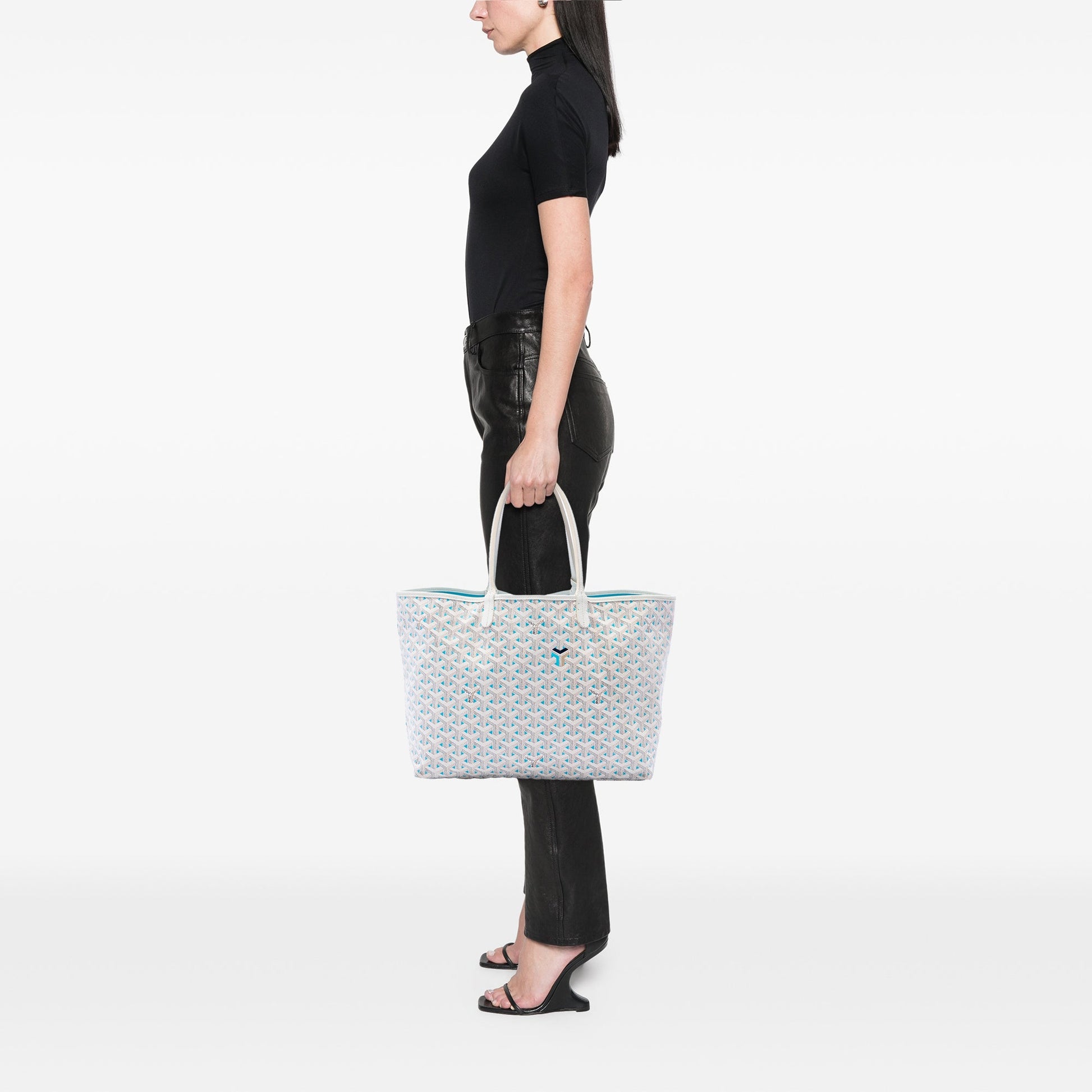 Goyard Goyardine Claire Voie Saint Louis PM