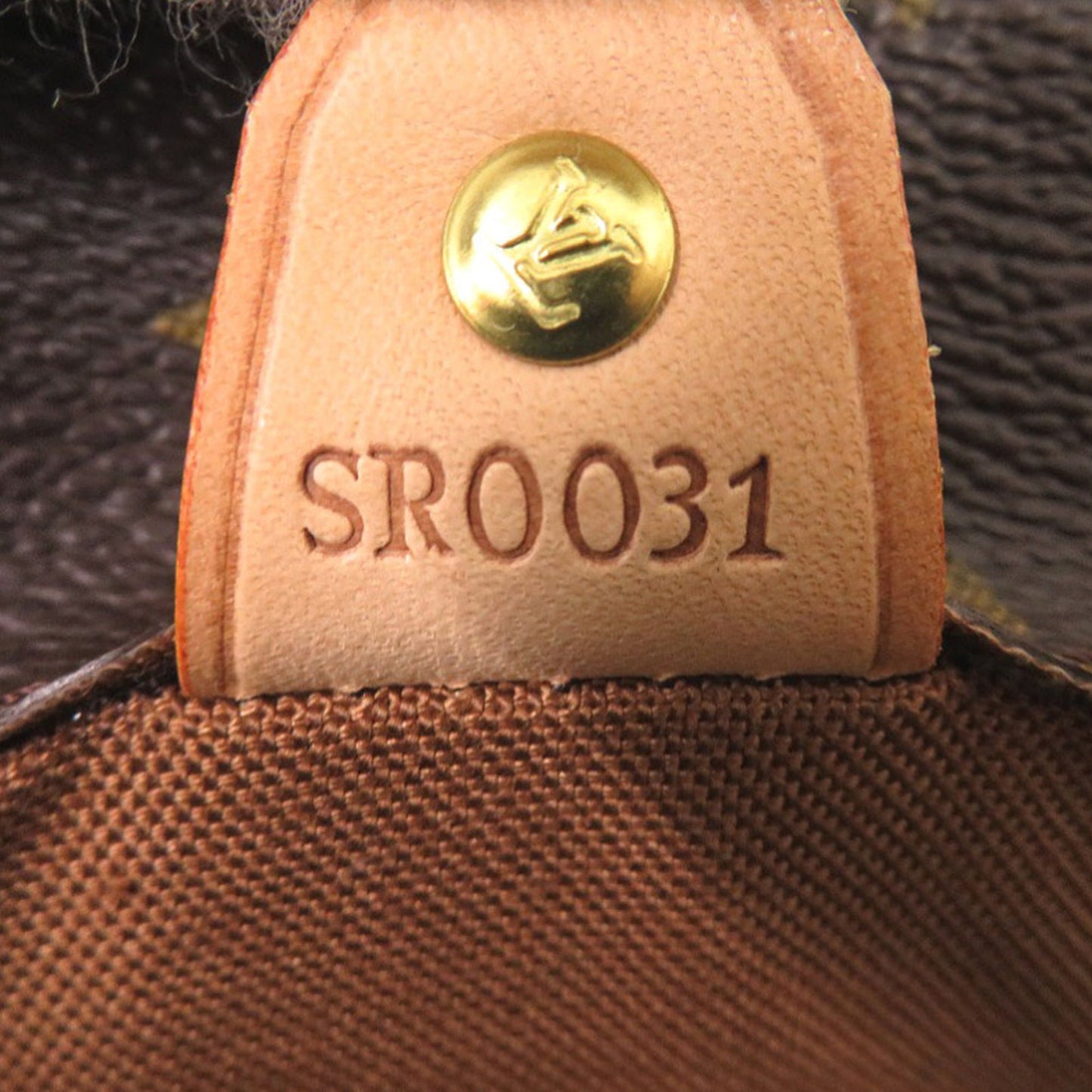 Louis Vuitton Monogram Vavin GM