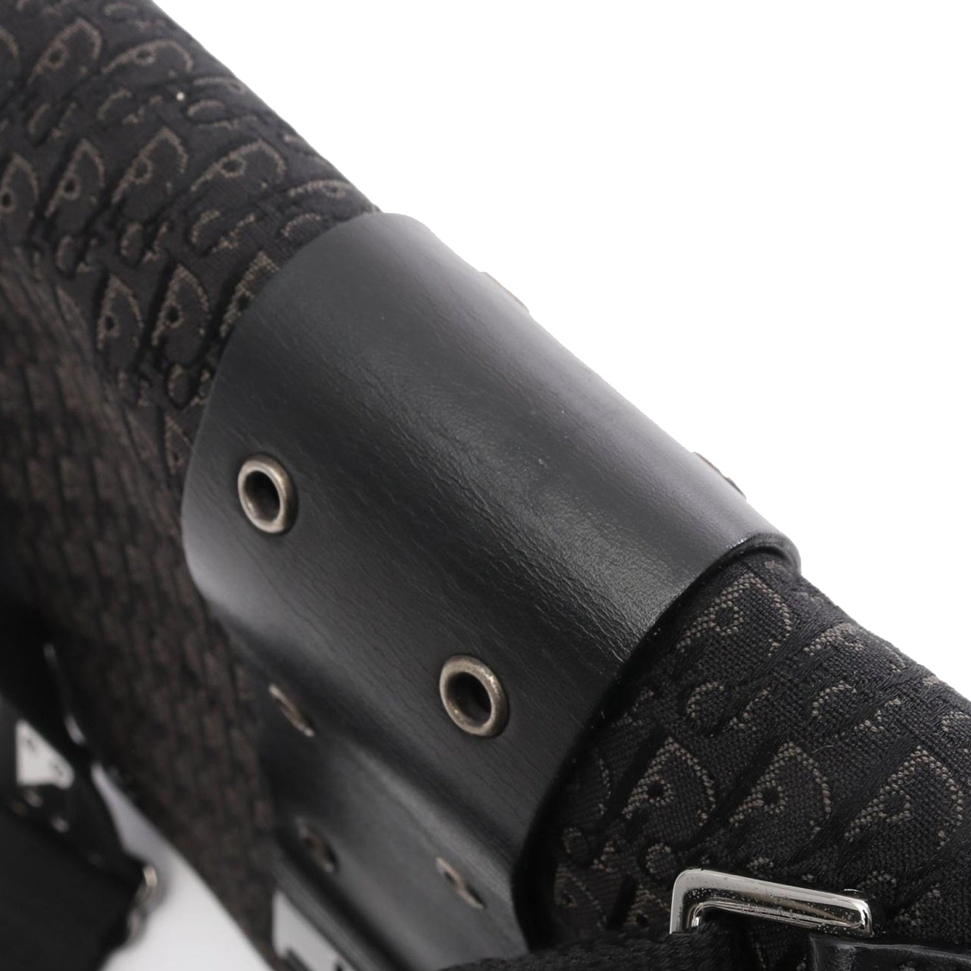 Dior Diorissimo Trotter Canvas Street Chic Crossbody