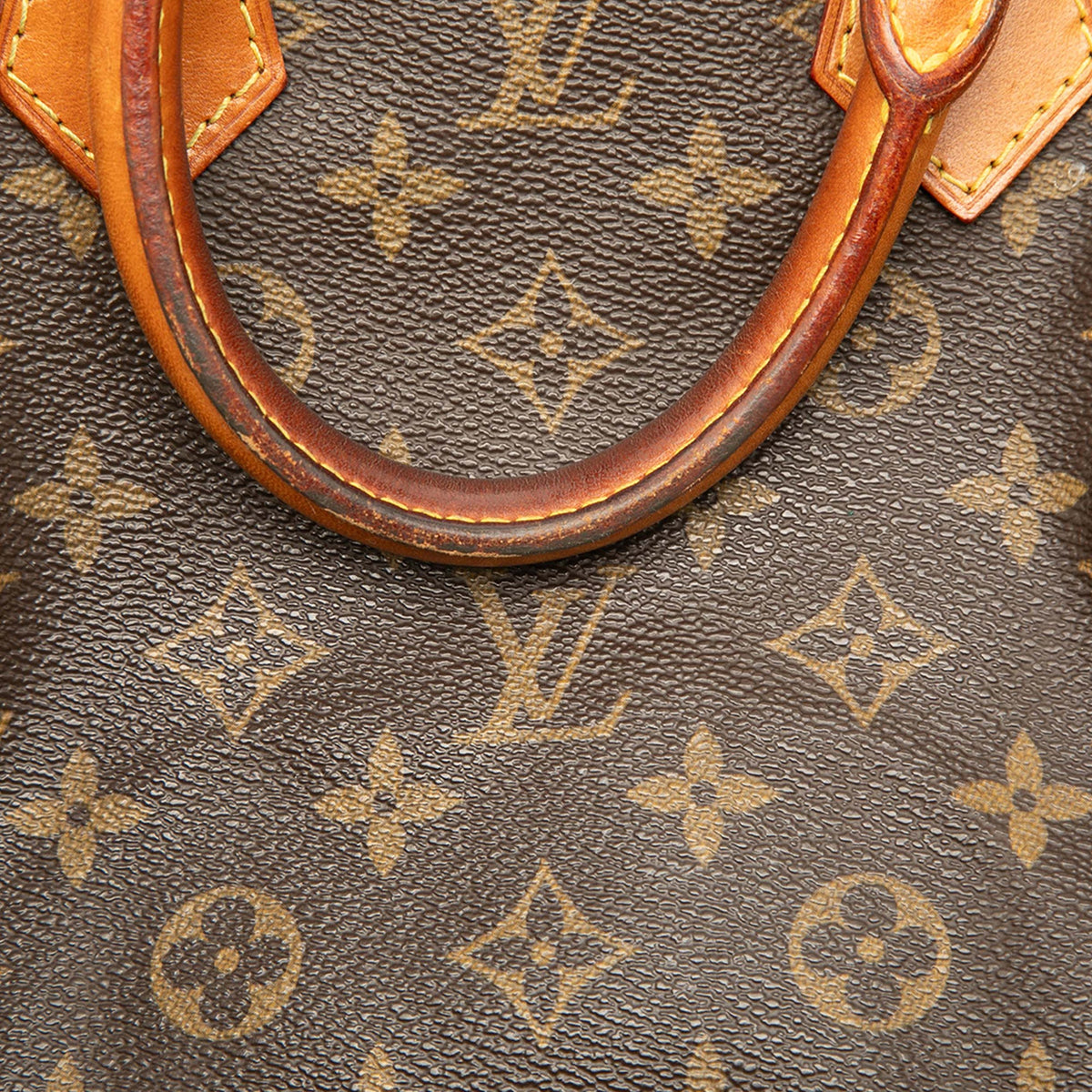 Louis Vuitton Monogram Speedy 25 — Brown