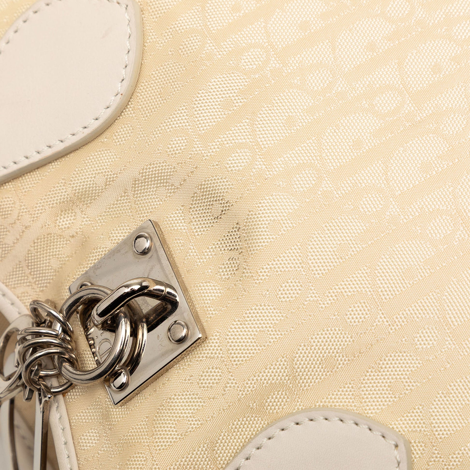 Dior Small Diorissimo Trotter Canvas Lovely Charm Tote
