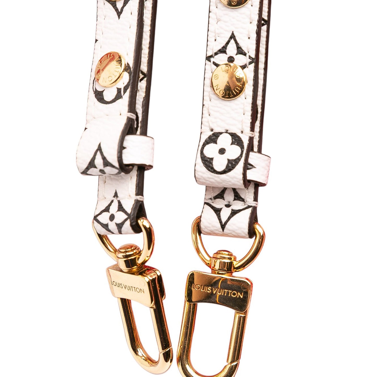 Louis Vuitton Monogram Giant Crafty Neonoe MM