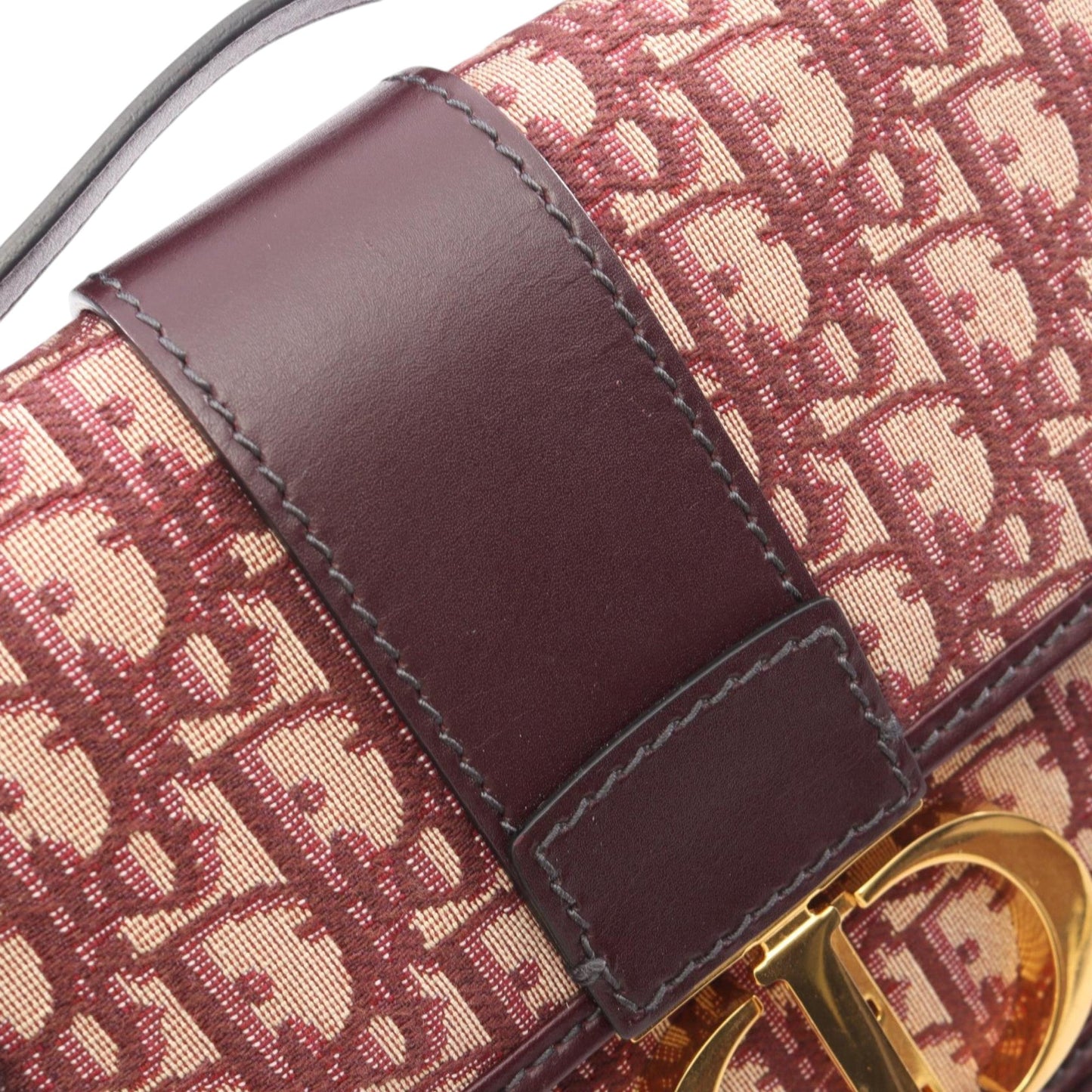 Dior Oblique Canvas 30 Montaigne Flap
