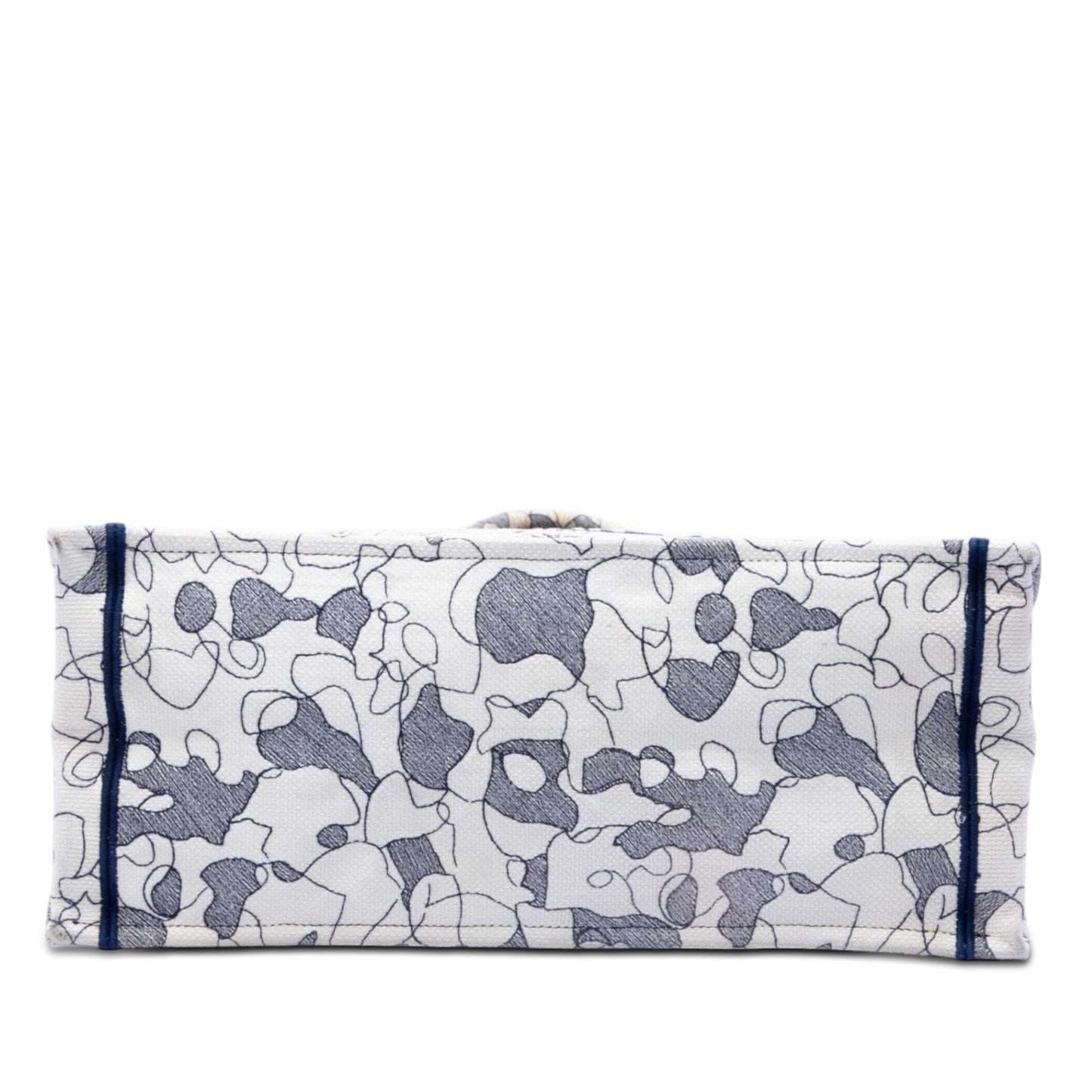 Dior Large Canvas Embroidered Around The World Book Tote