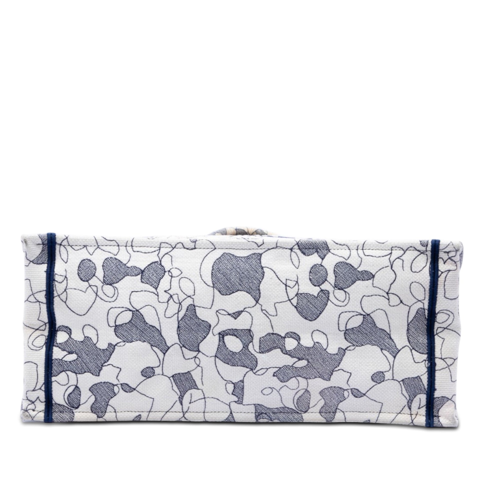Dior Large Canvas Embroidered Around The World Book Tote