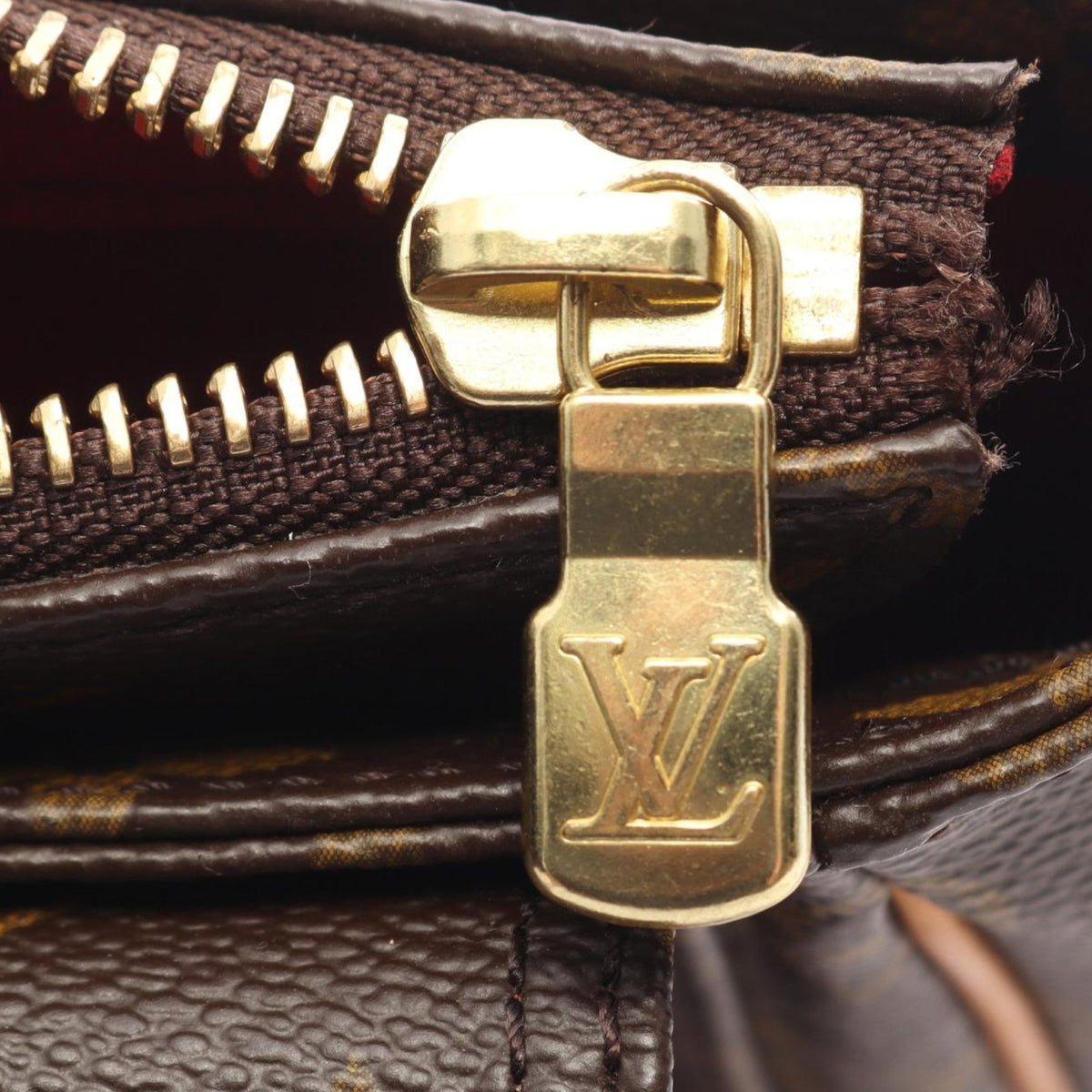 Louis Vuitton Monogram Viva Cite PM — Brown