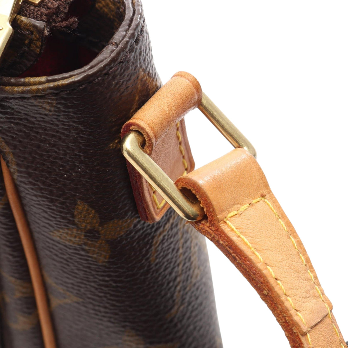 Louis Vuitton Monogram Viva Cite PM — Brown