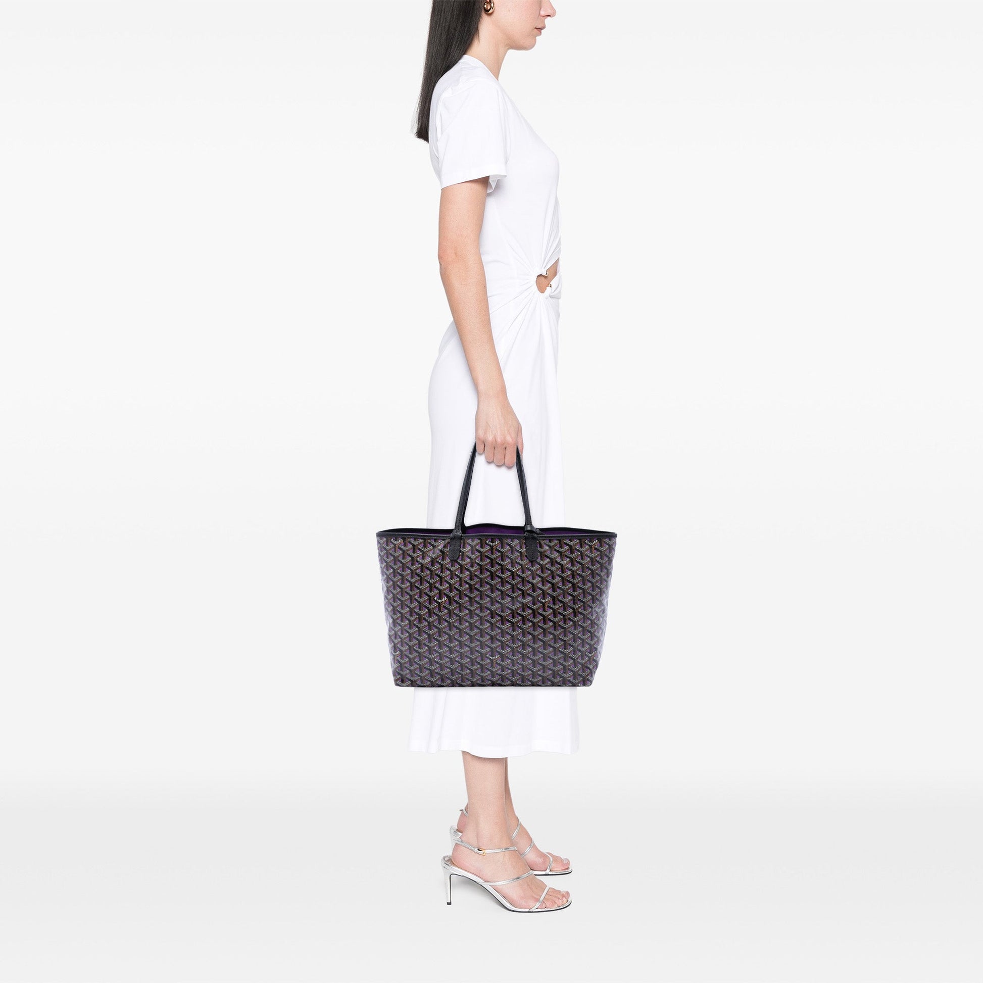 Goyard Goyardine Claire Voie Saint Louis PM