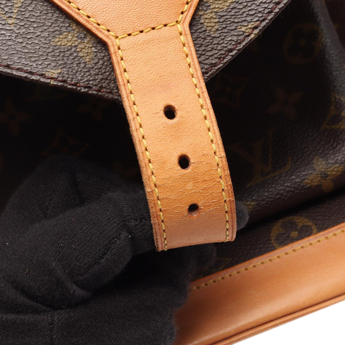 Louis Vuitton Monogram Montsouris GM