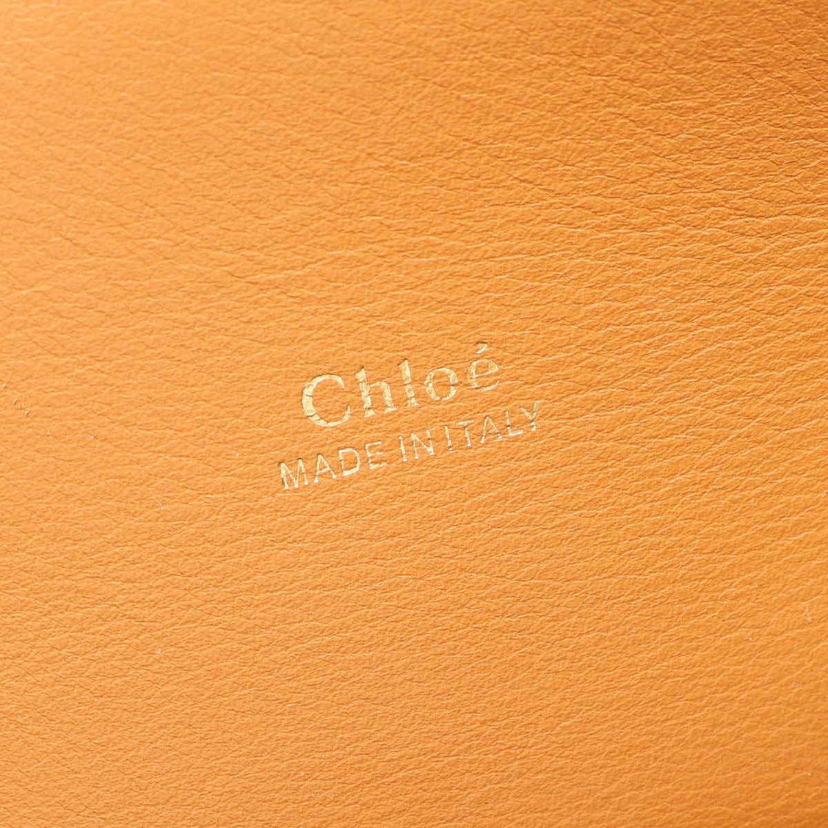 Chloé Crocodile Embossed Aby Satchel