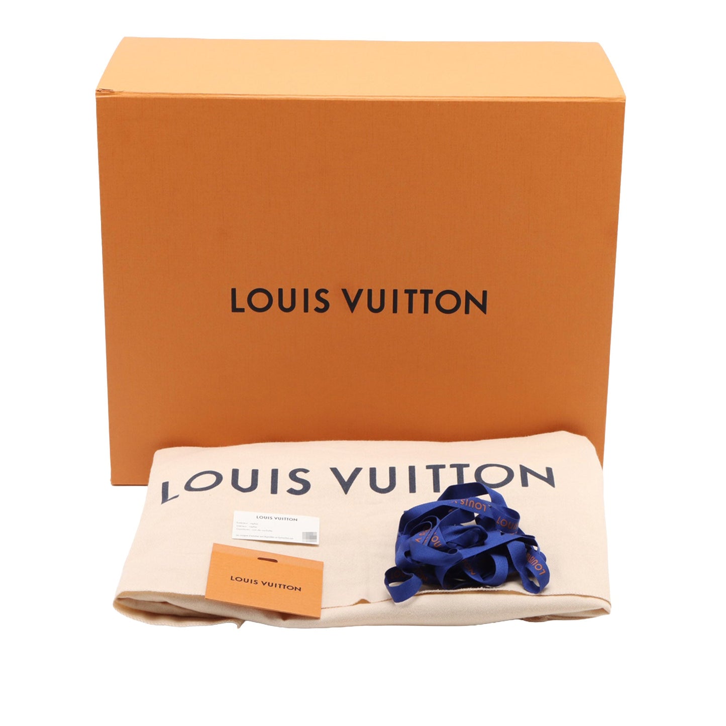 Louis Vuitton Raffia LV by the Pool OnTheGo MM