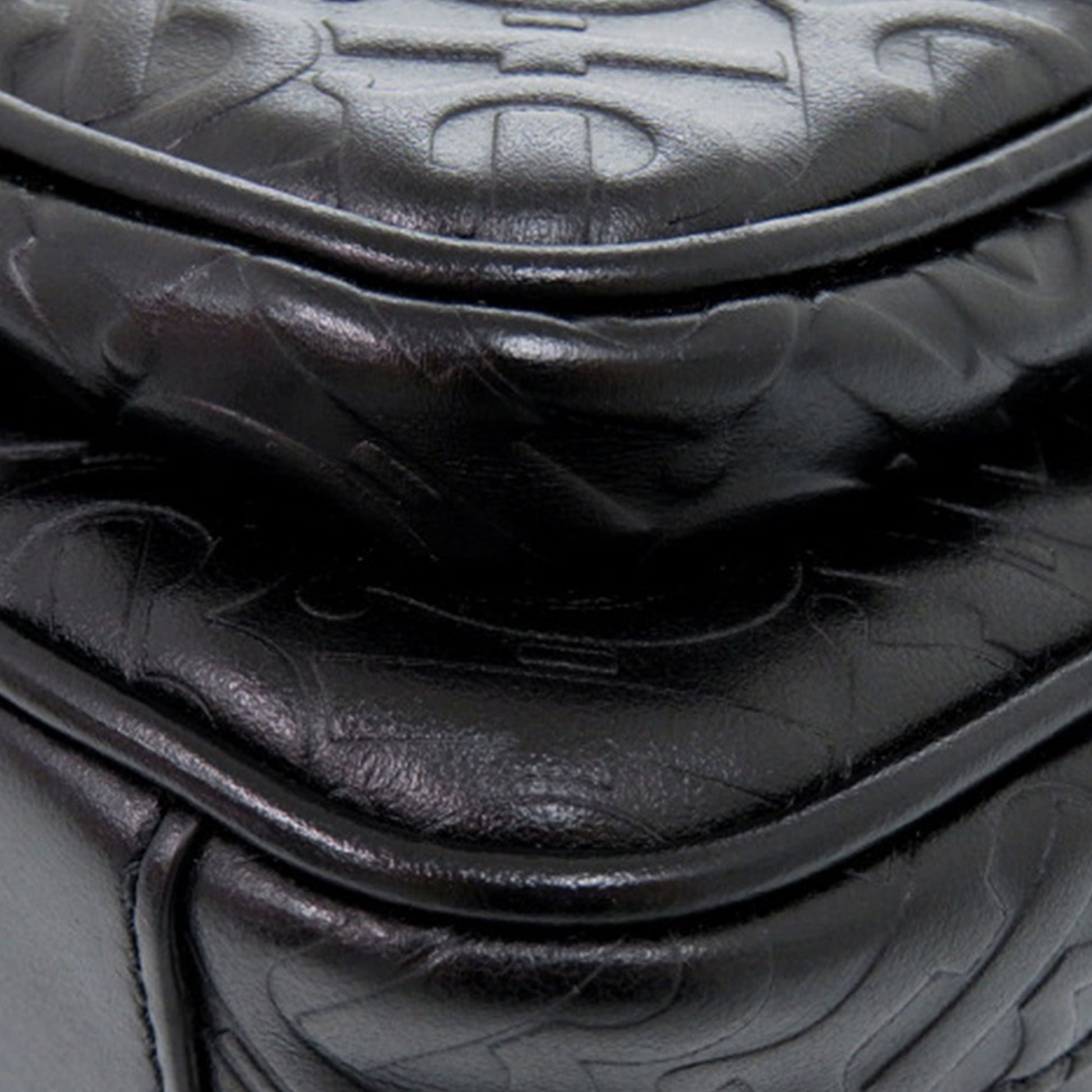 Embossed Calfskin TB Monogram Camera Chain Crossbody