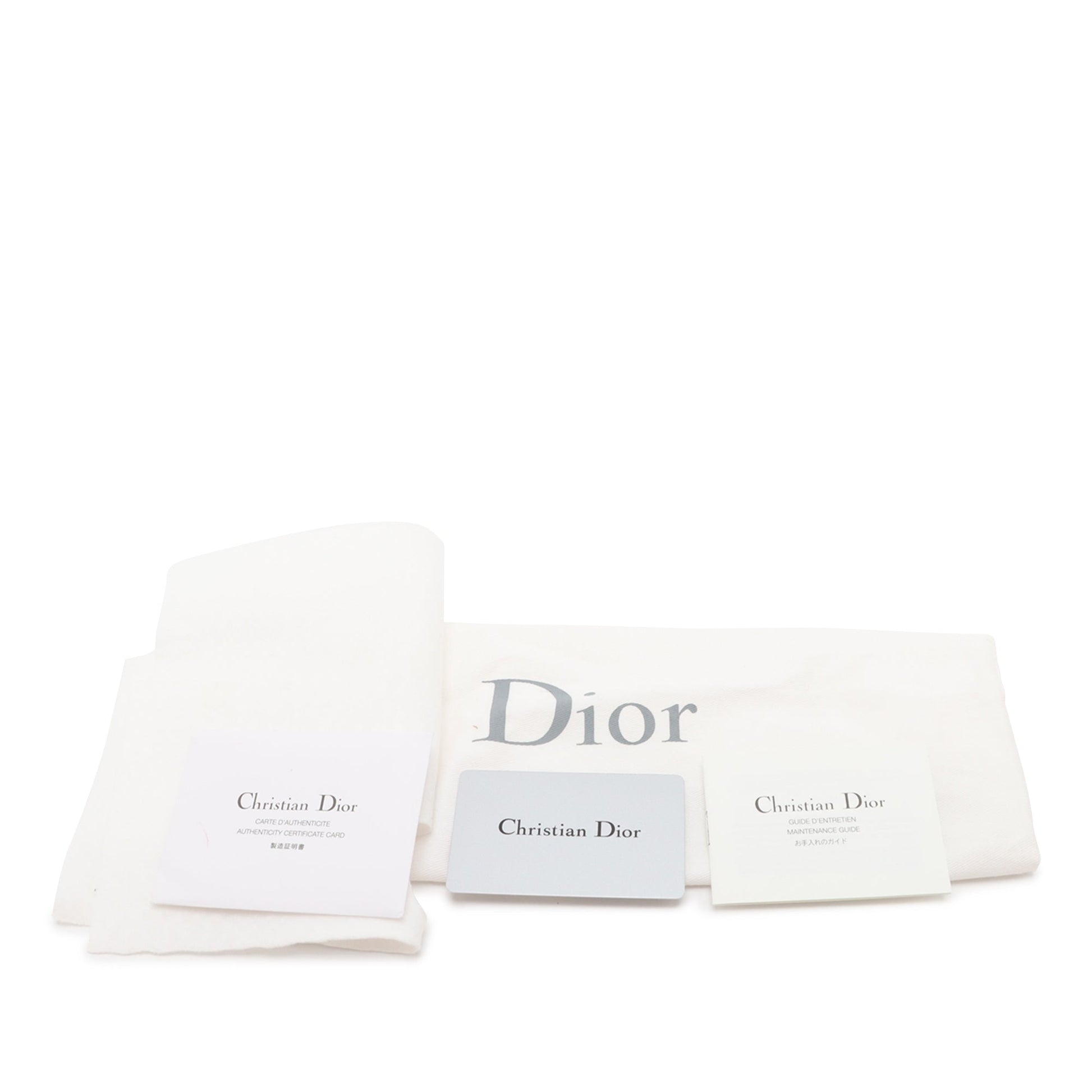 Dior Grained Calfskin Diorama Croisiere Wallet on Chain