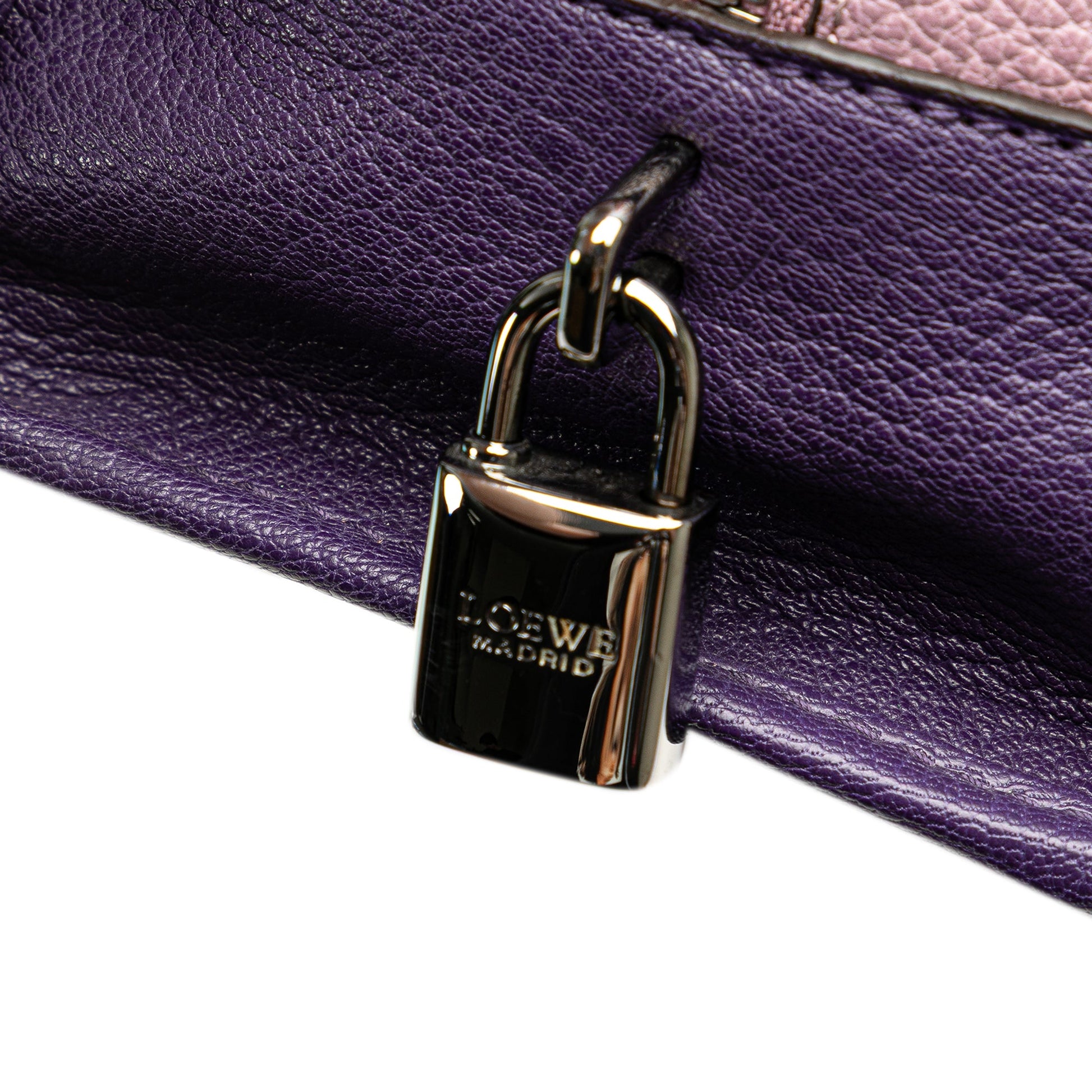 LOEWE Tricolor Goatskin Amazona 28