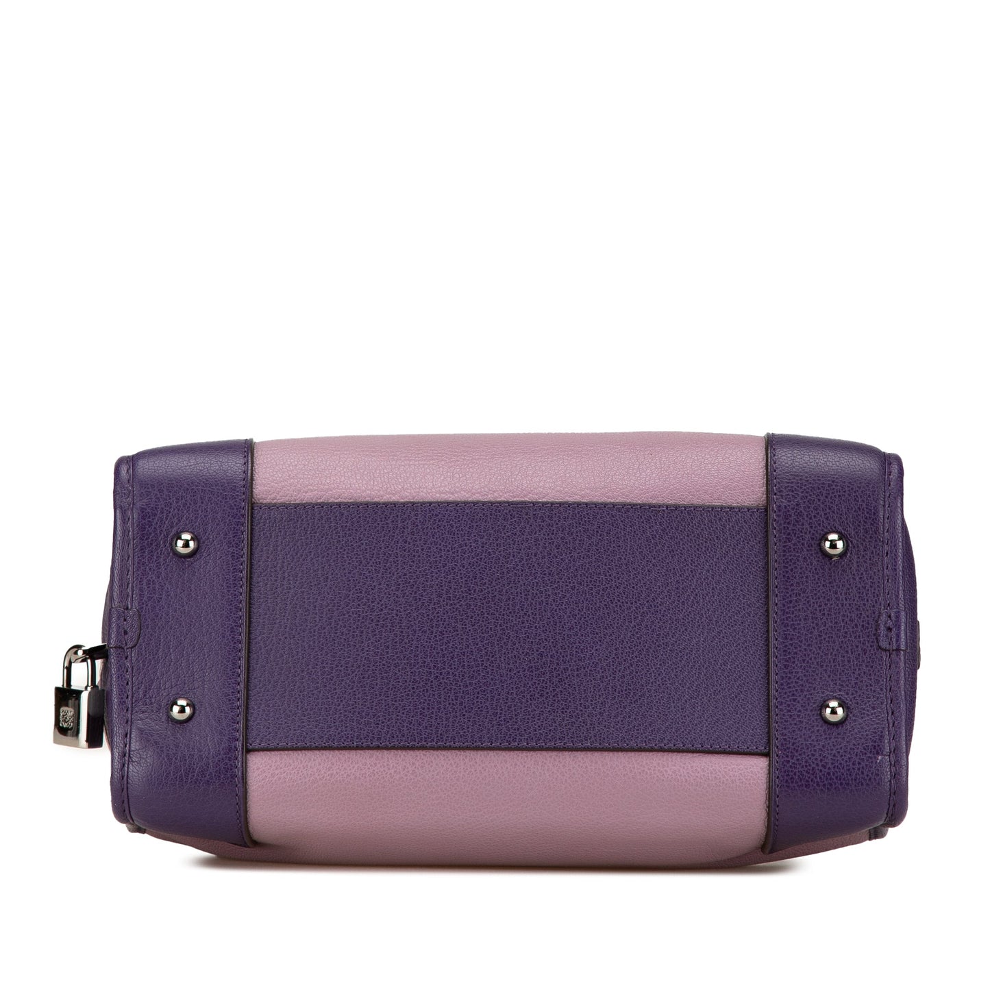 LOEWE Tricolor Goatskin Amazona 28