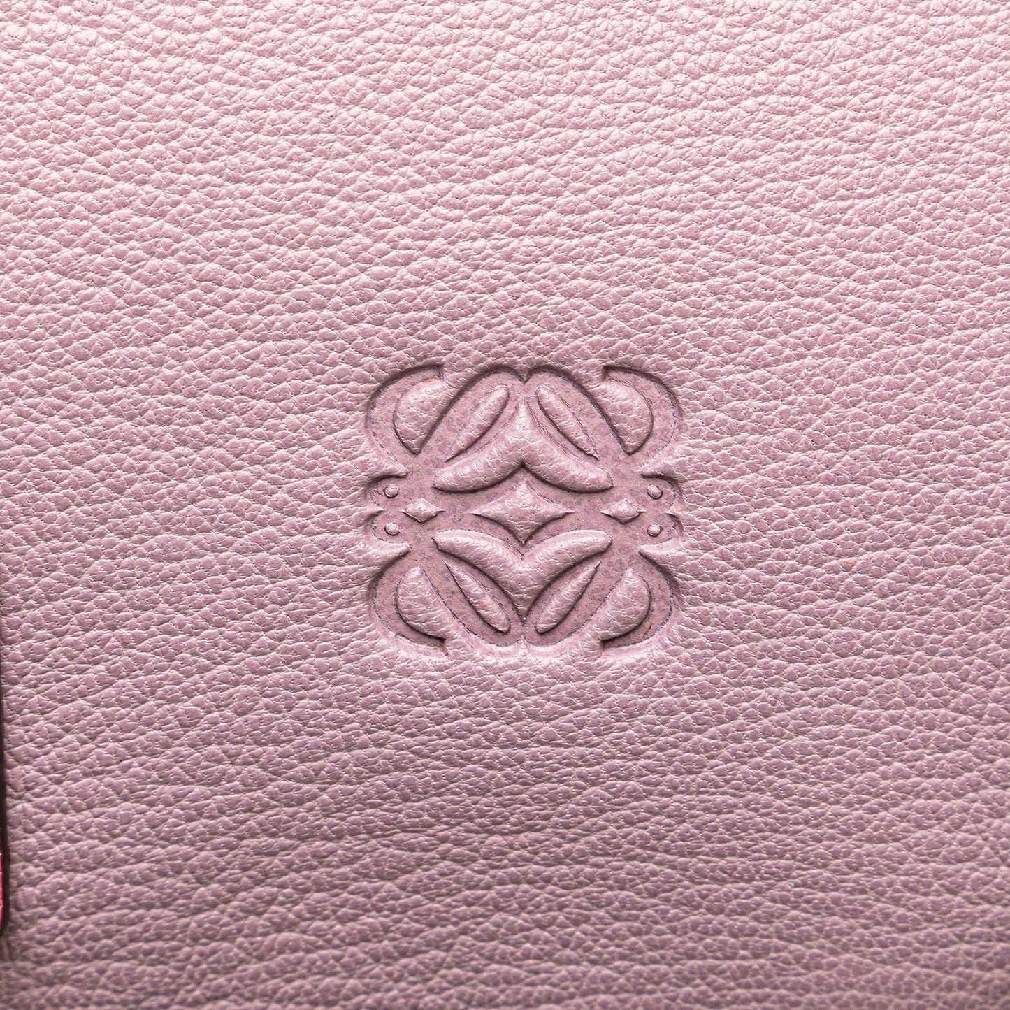 LOEWE Tricolor Goatskin Amazona 28