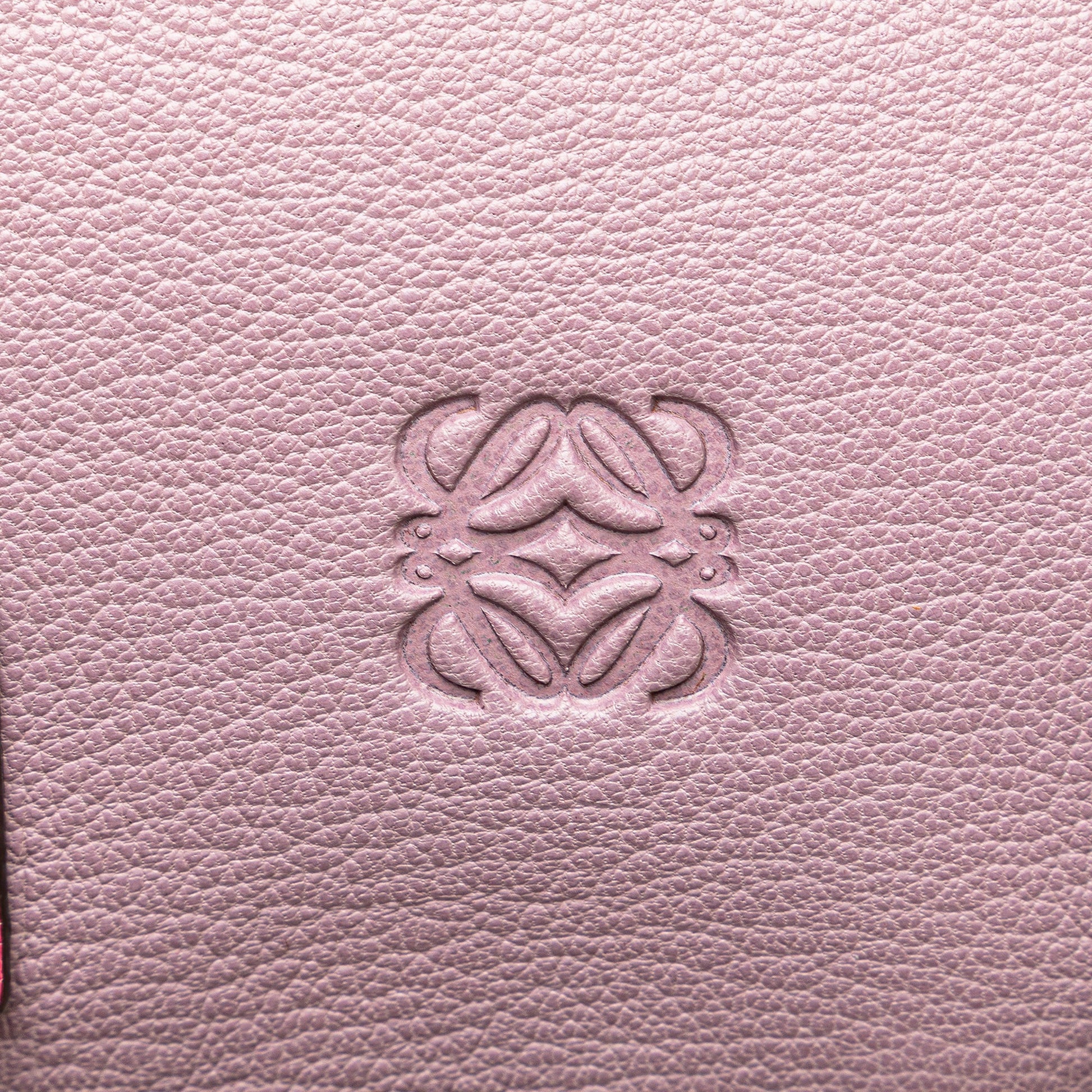 LOEWE Tricolor Goatskin Amazona 28