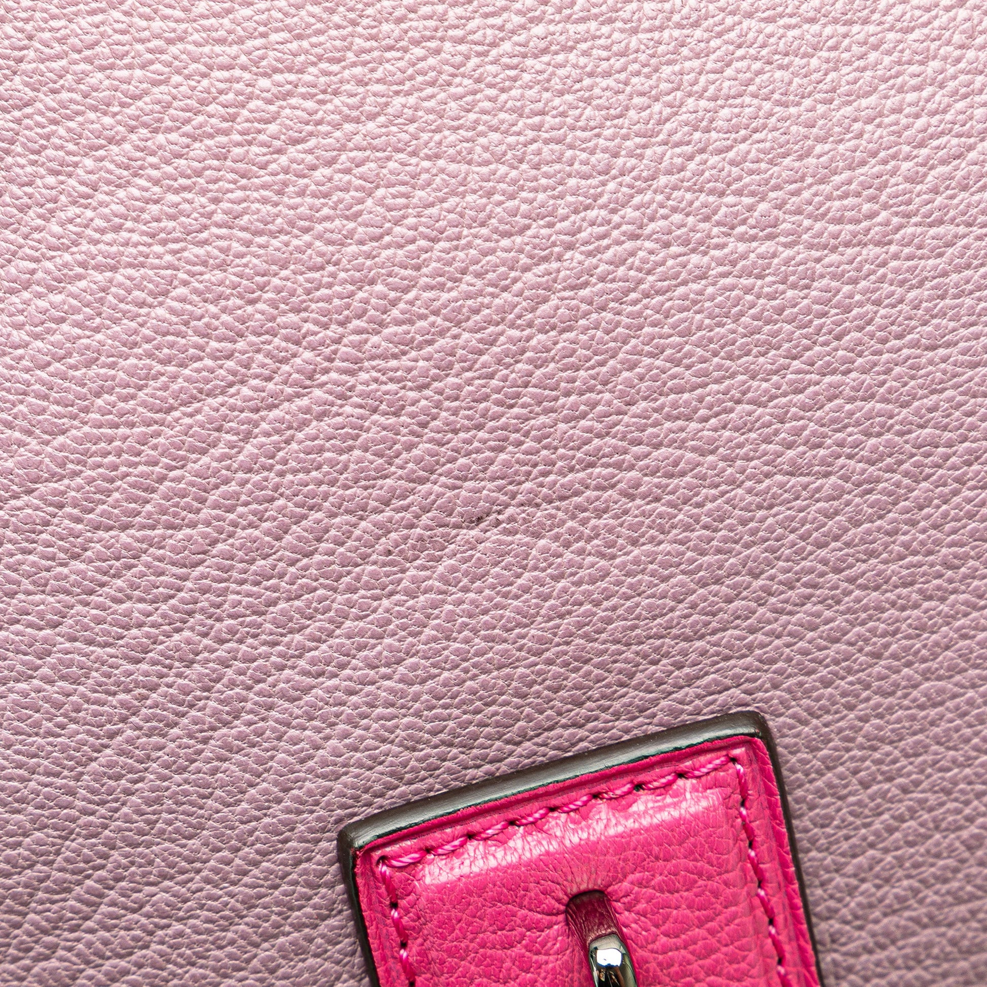 LOEWE Tricolor Goatskin Amazona 28