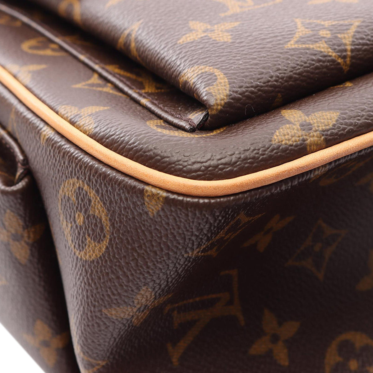 Louis Vuitton Monogram Multipli Cite