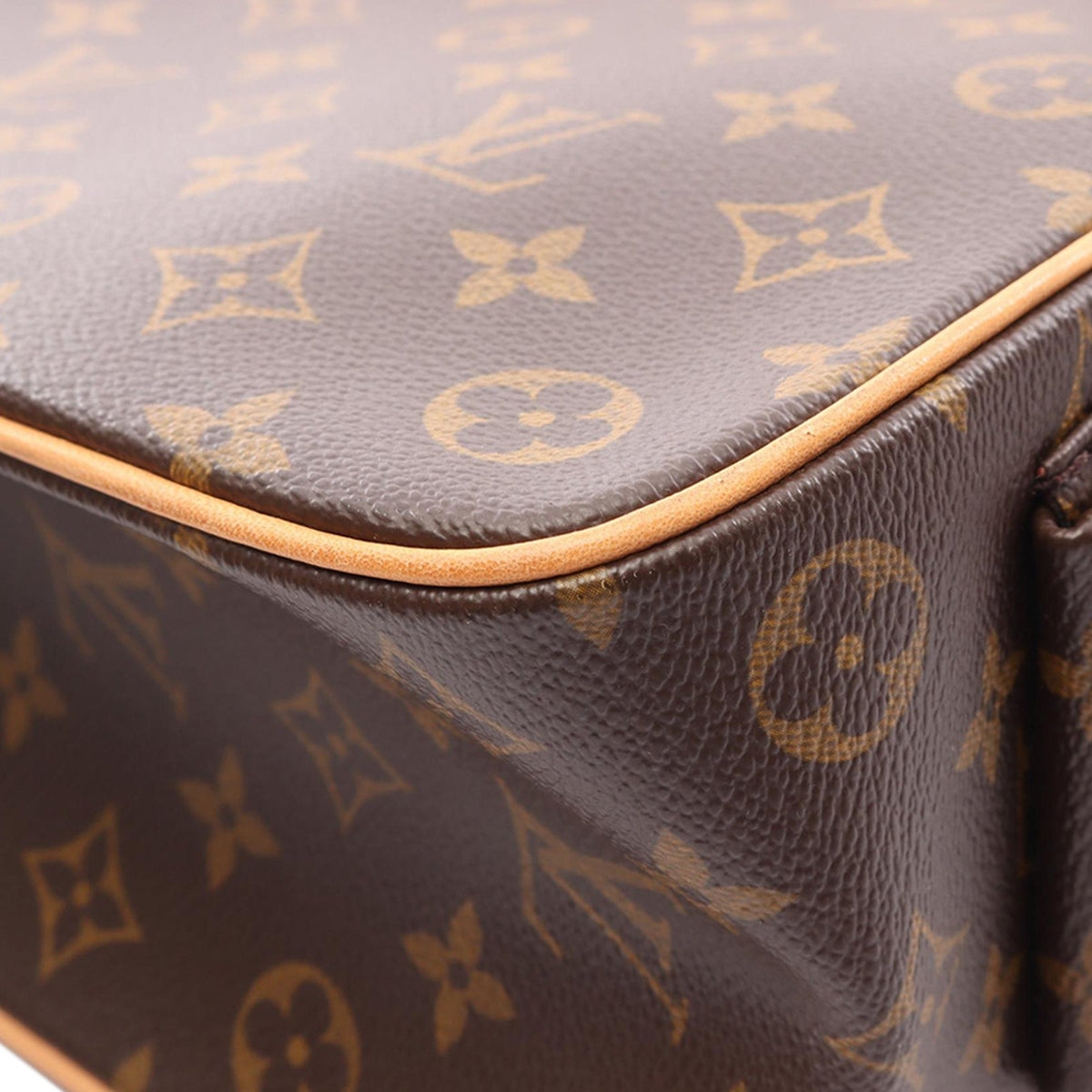 Louis Vuitton Monogram Multipli Cite