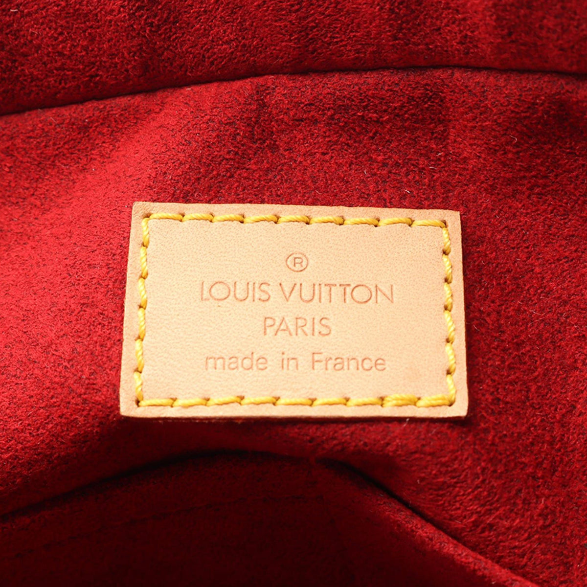 Louis Vuitton Monogram Multipli Cite