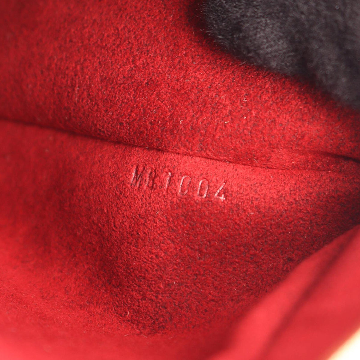 Louis Vuitton Monogram Multipli Cite