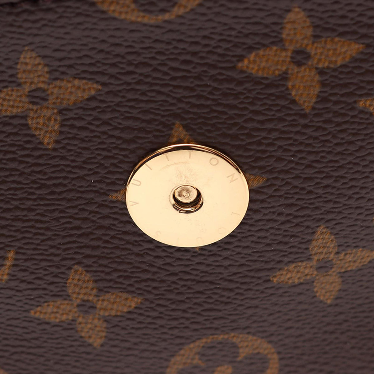 Louis Vuitton Monogram Multipli Cite