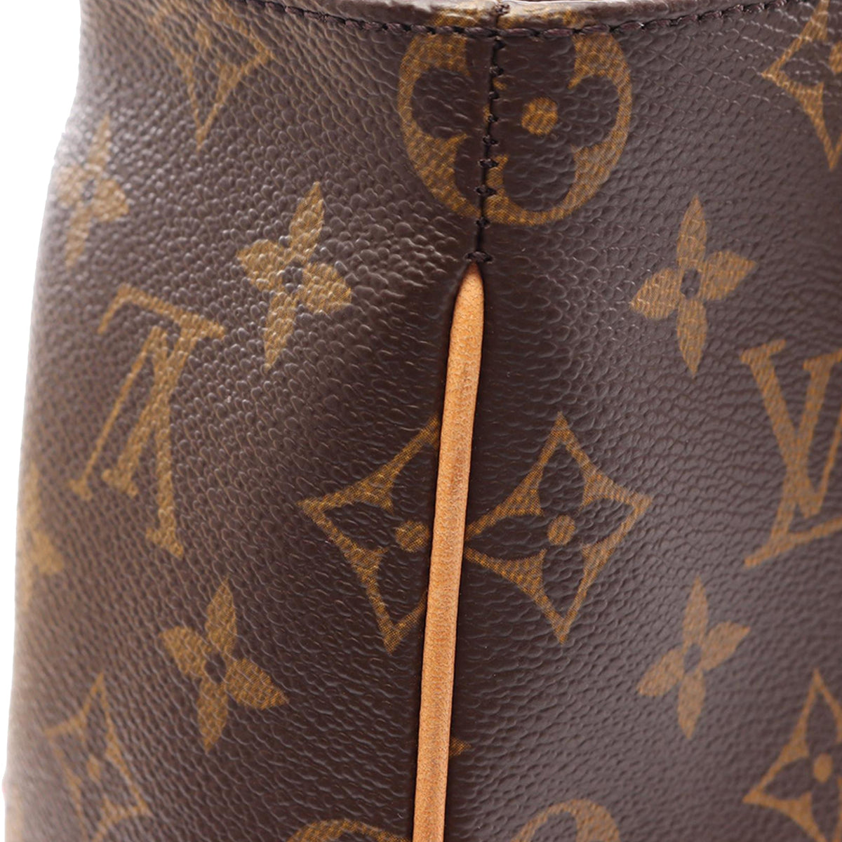 Louis Vuitton Monogram Multipli Cite