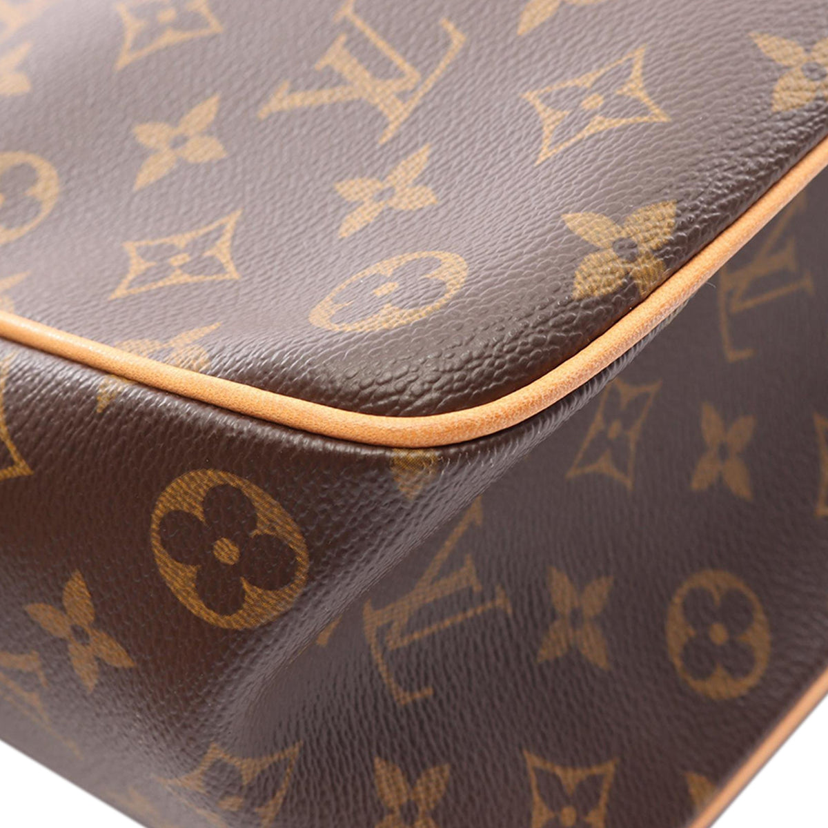 Louis Vuitton Monogram Multipli Cite