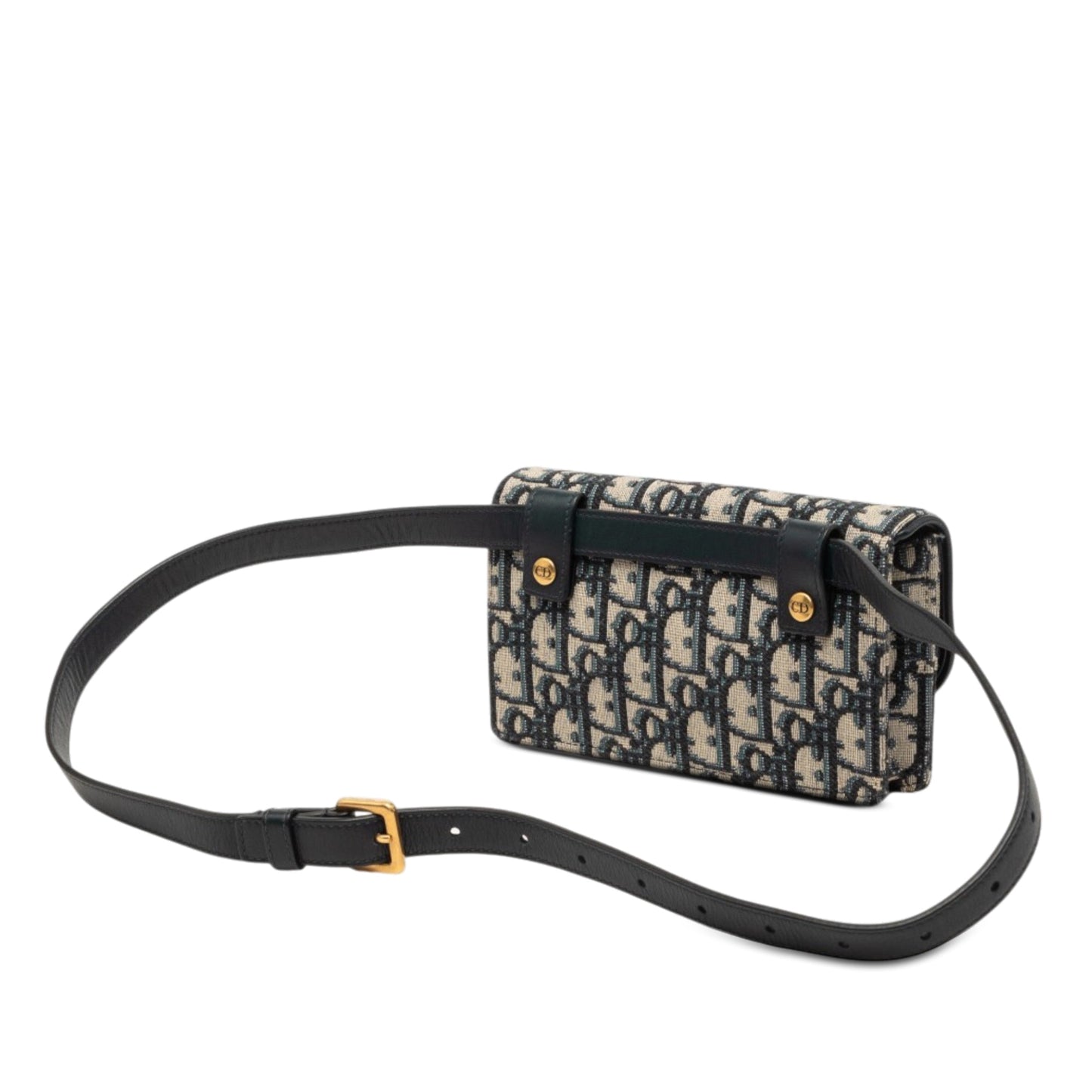 Dior Oblique Canvas Saddle Belt Bag