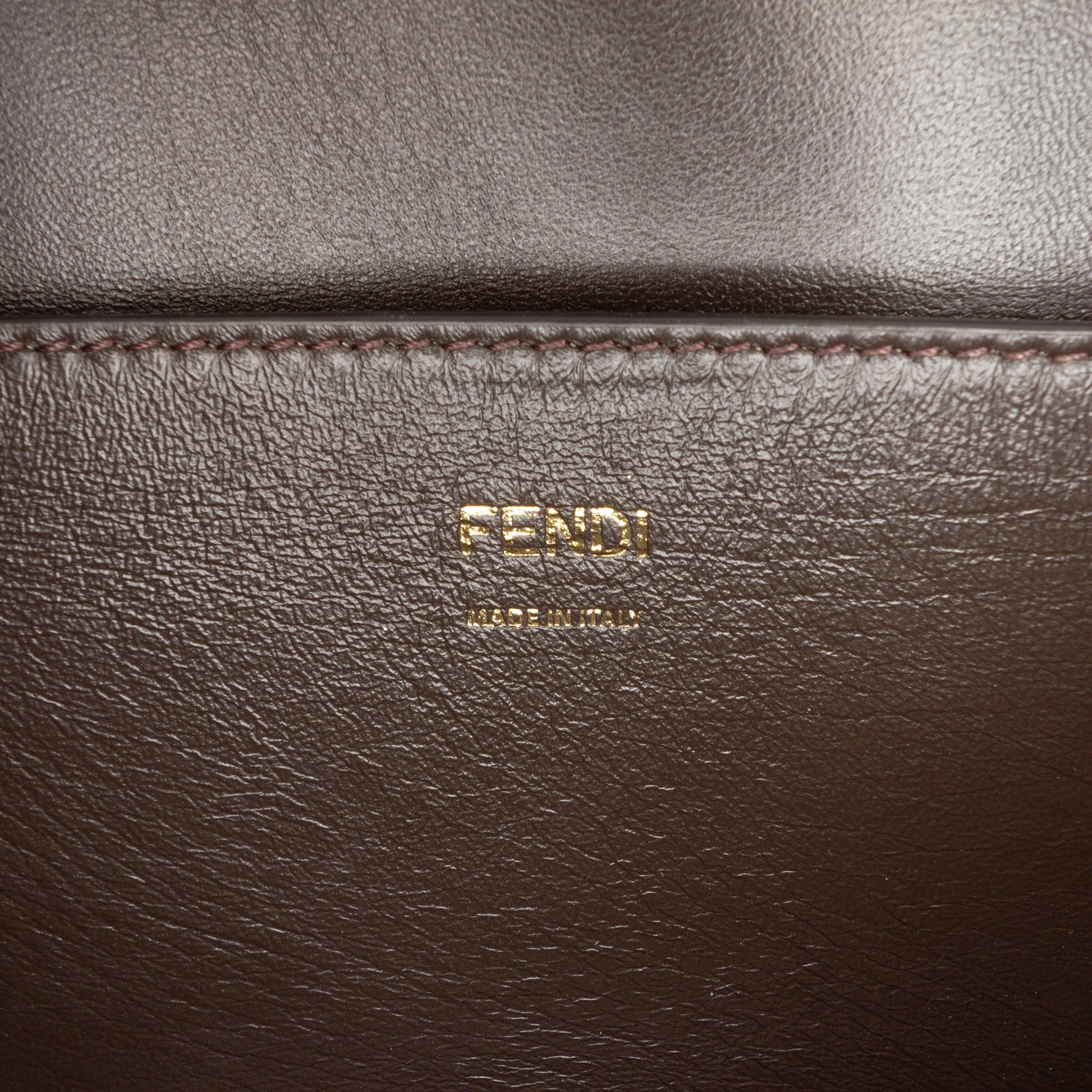 Fendi Calfskin Vitello King Nubuck Pequin Karligraphy Pocket Shoulder Bag