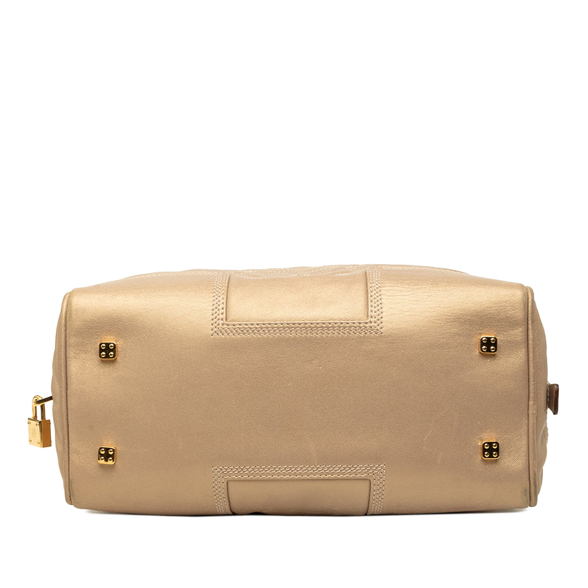 LOEWE Metallic Leather Amazona 28 — Gold
