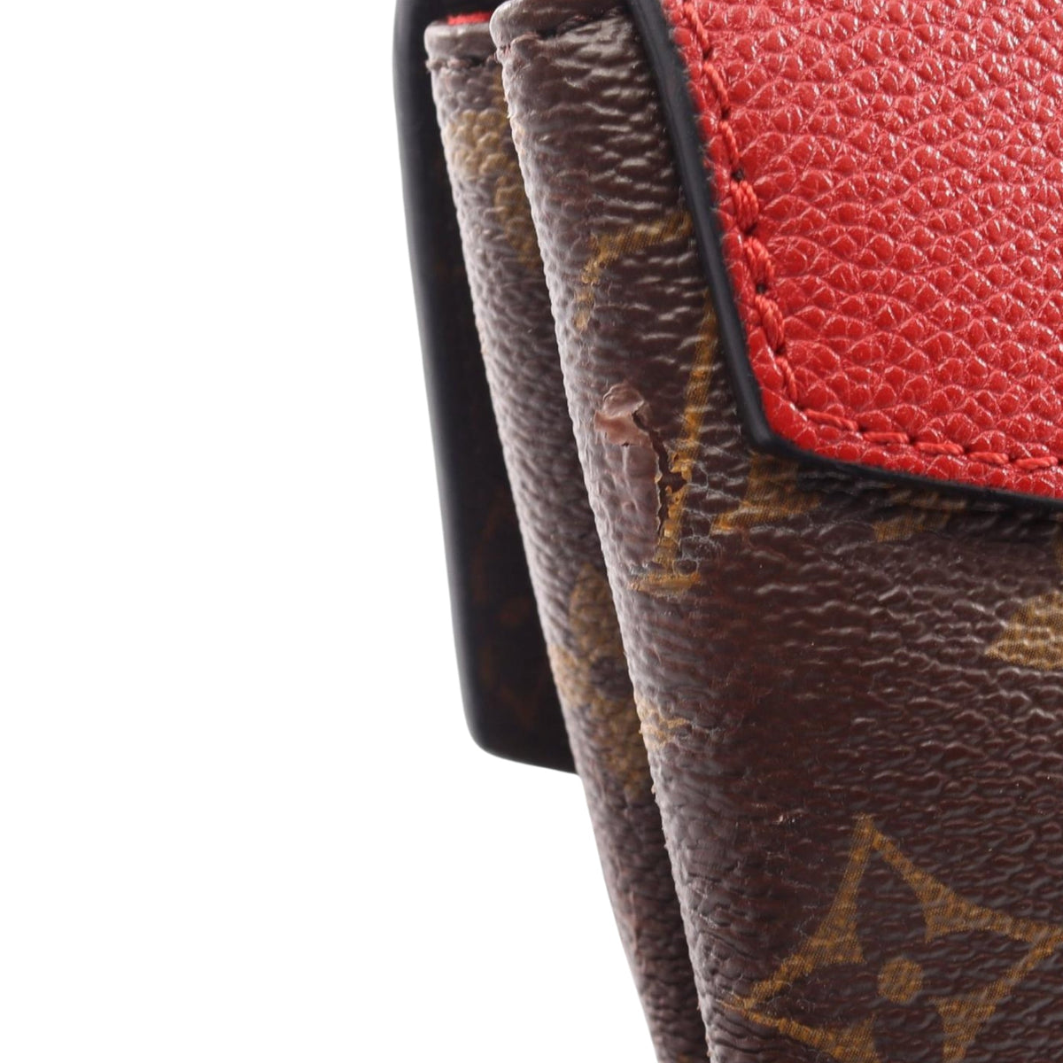 Louis Vuitton Monogram Saint Placide