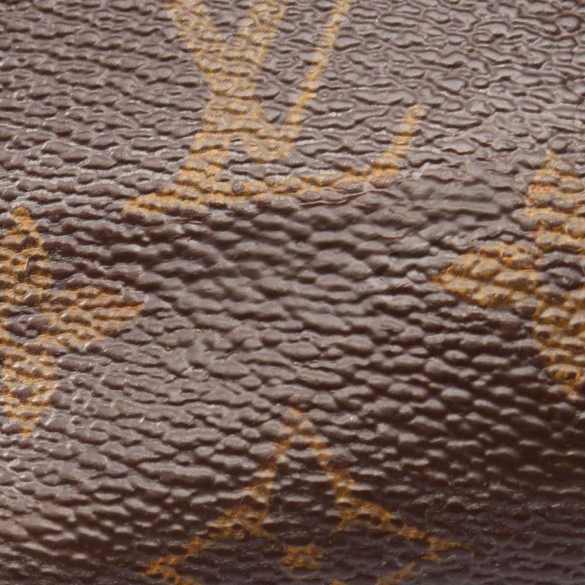 Louis Vuitton Monogram Saint Placide