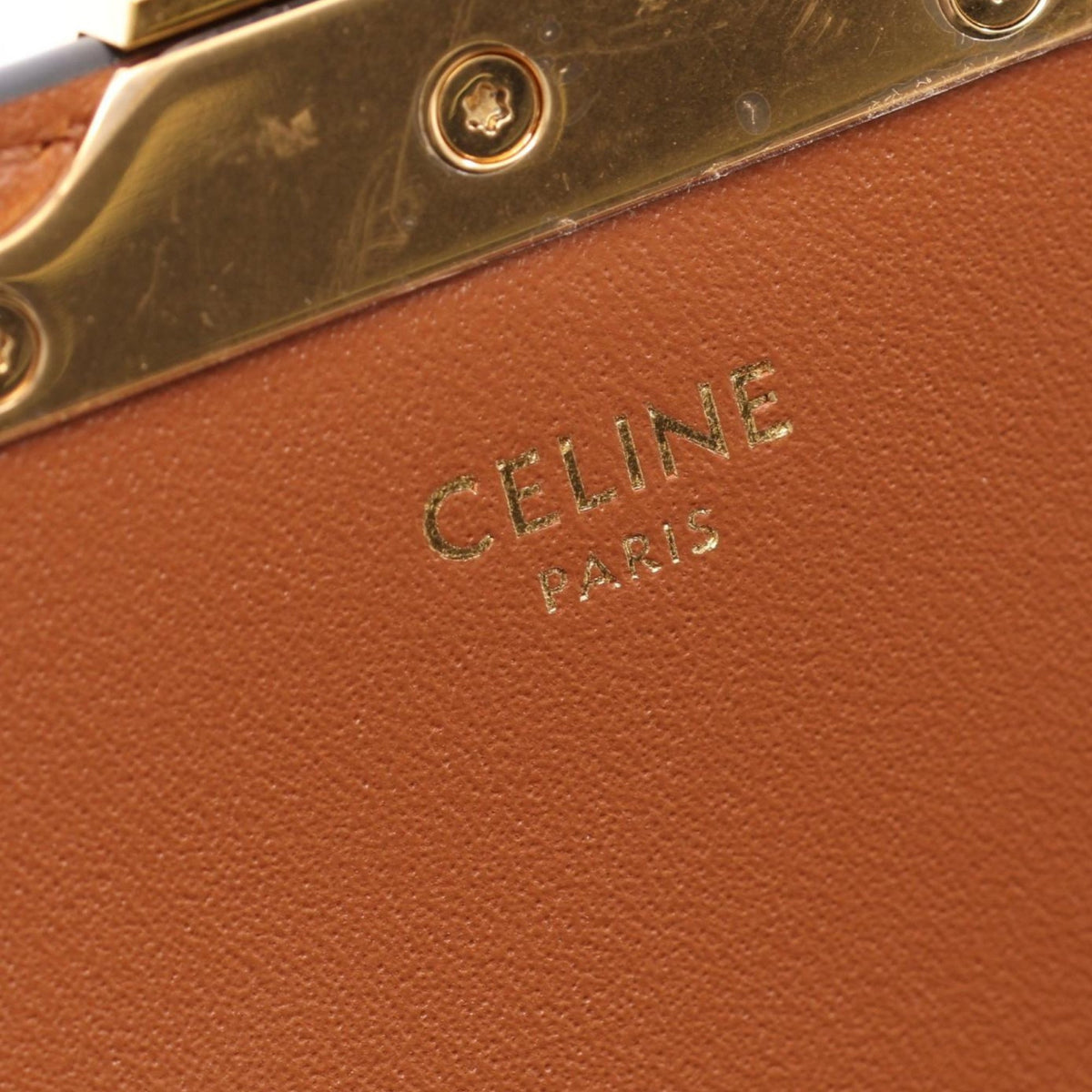 Celine Medium Triomphe Coated Canvas Laura Crossbody