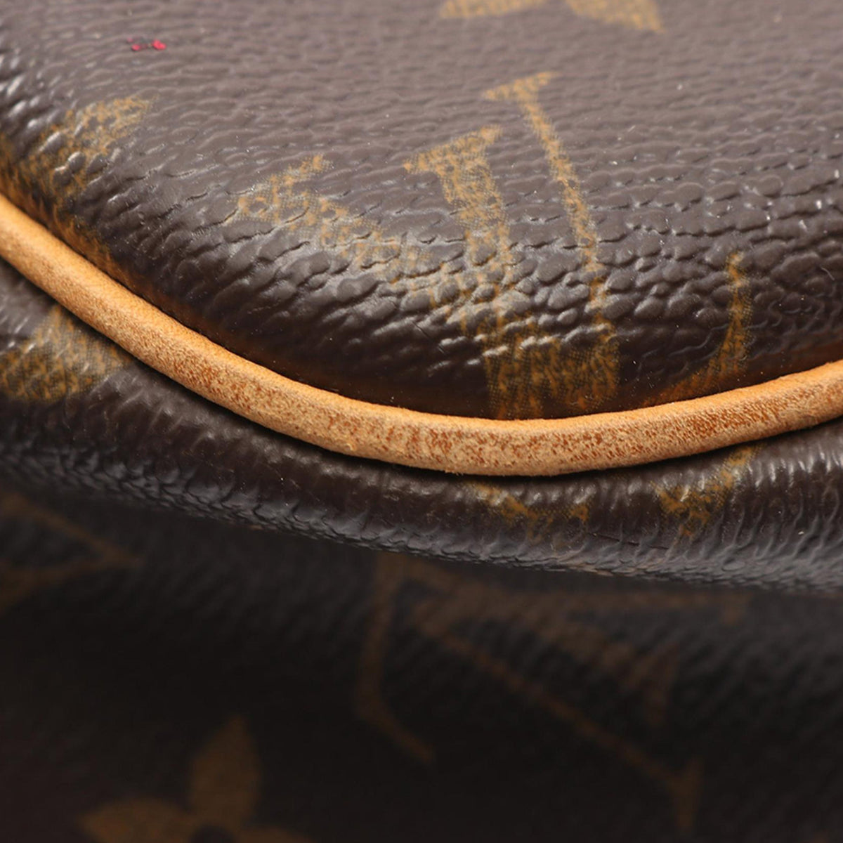 Louis Vuitton Monogram Reporter PM
