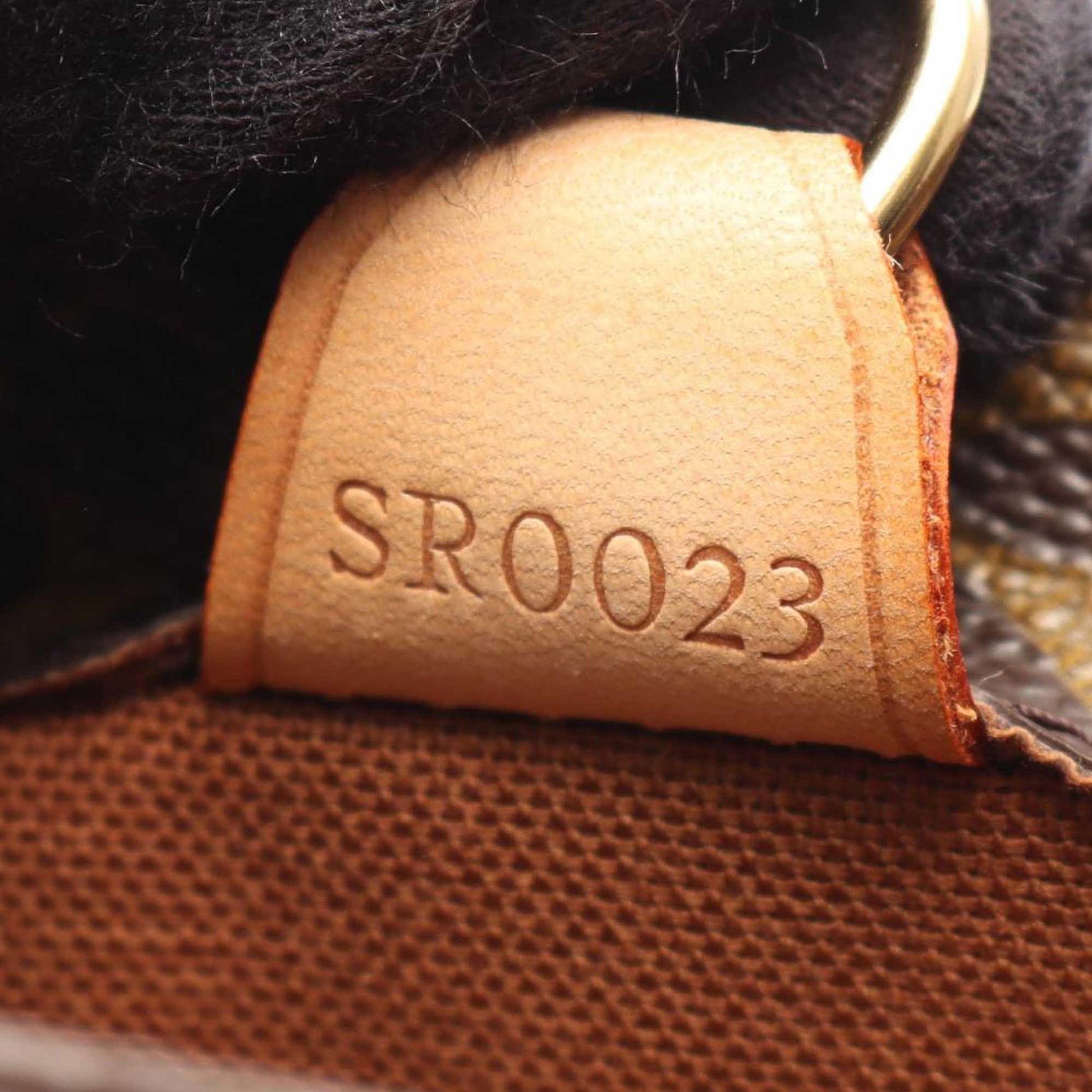 Louis Vuitton Monogram Vavin PM