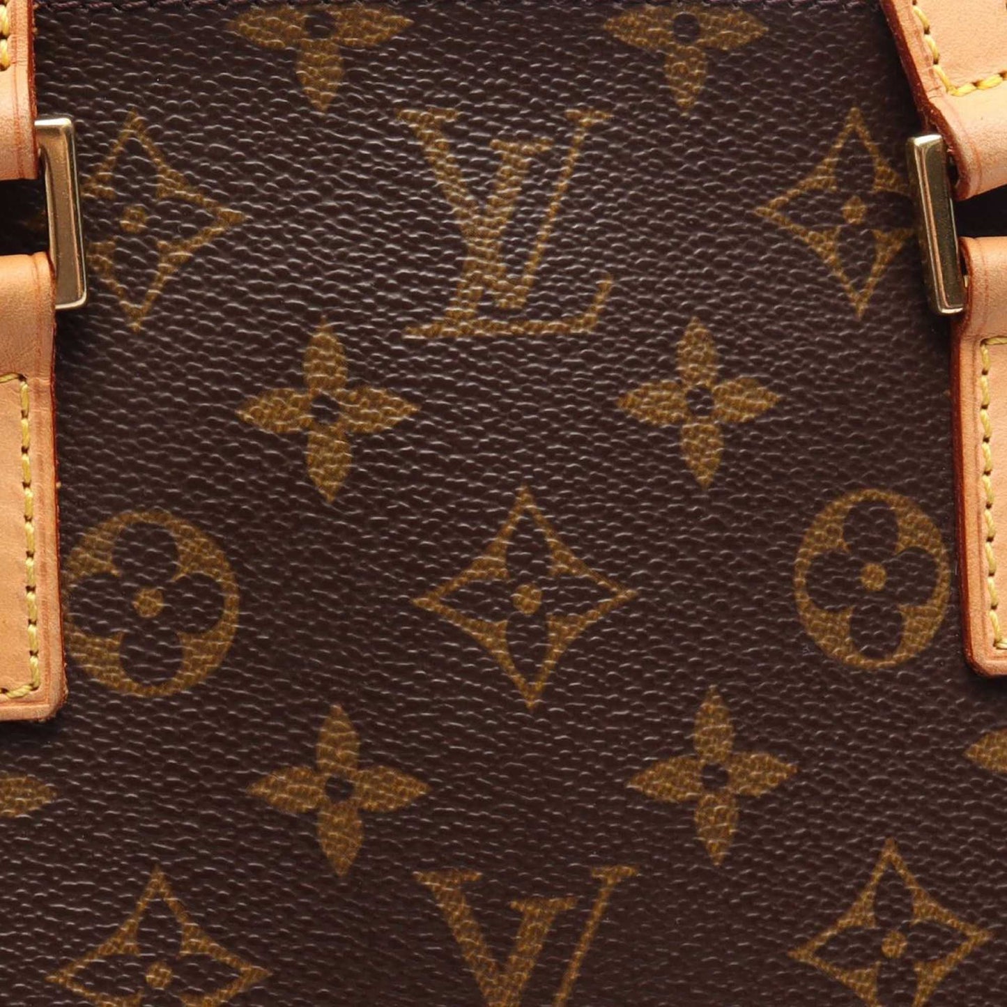 Louis Vuitton Monogram Vavin PM