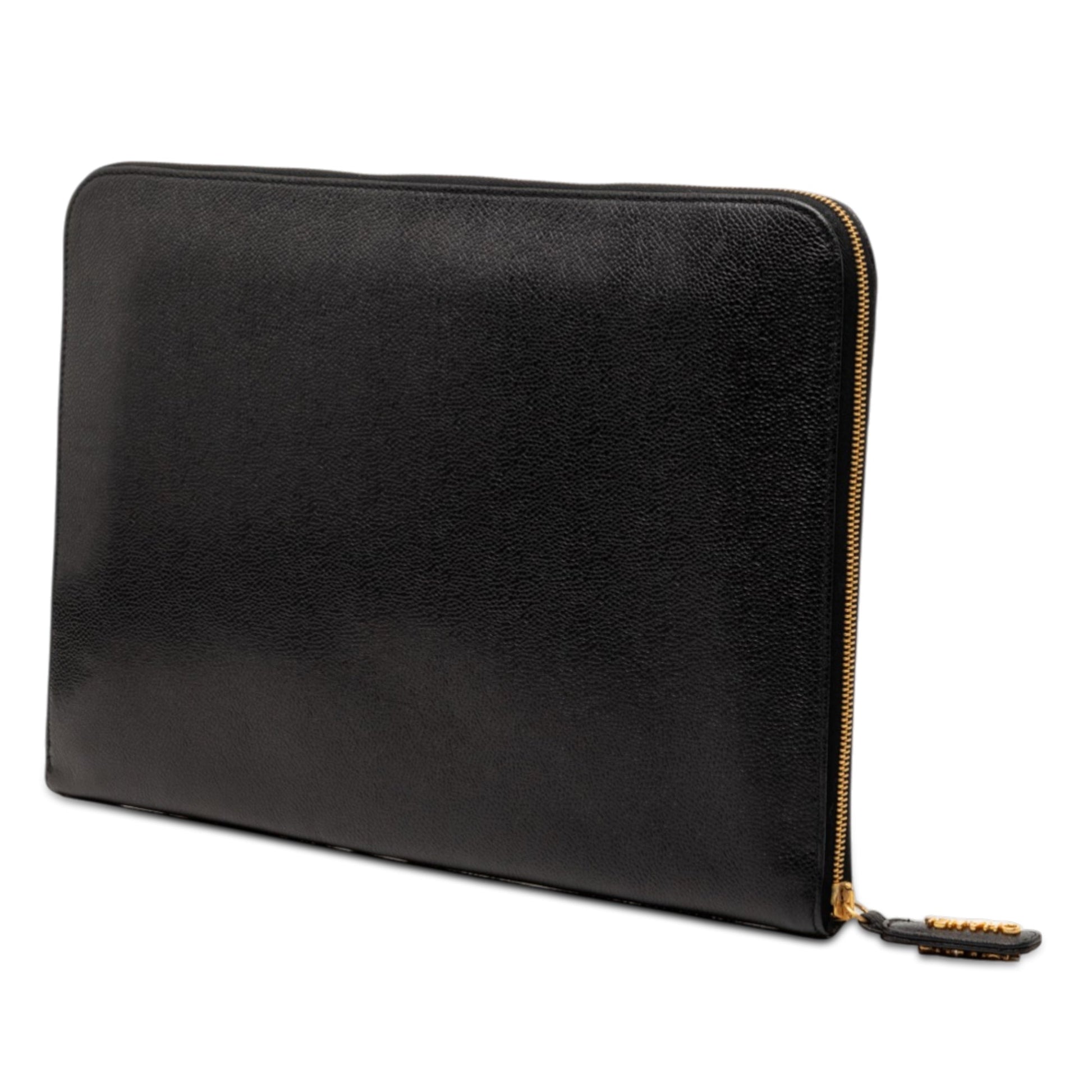 CC Caviar Documents Portfolio Clutch
