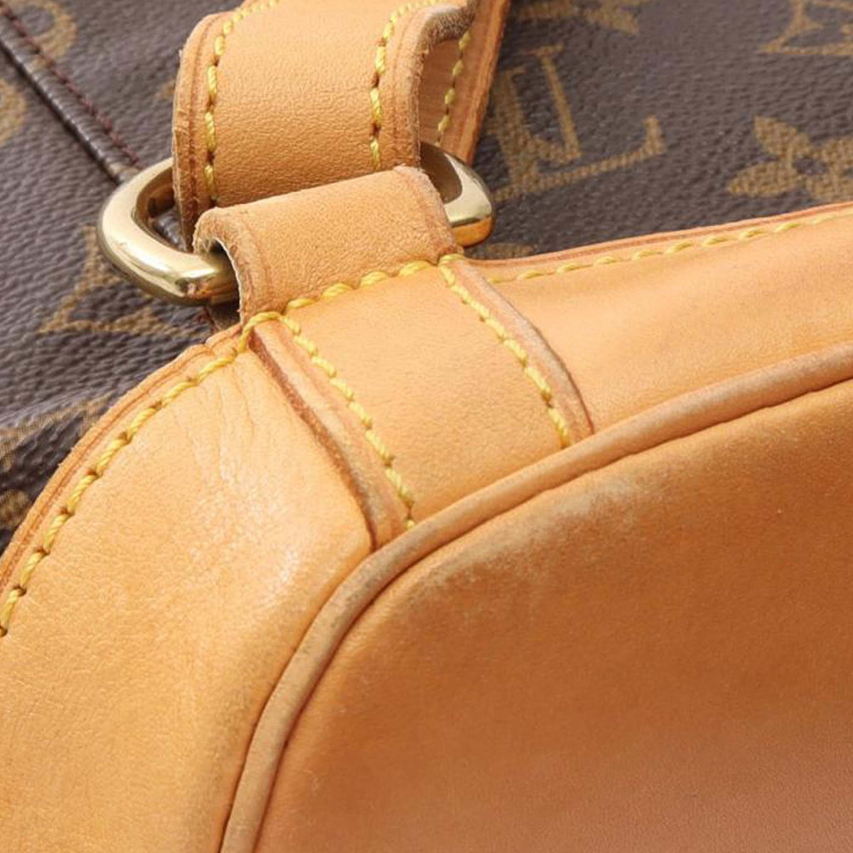 Louis Vuitton Monogram Montsouris GM