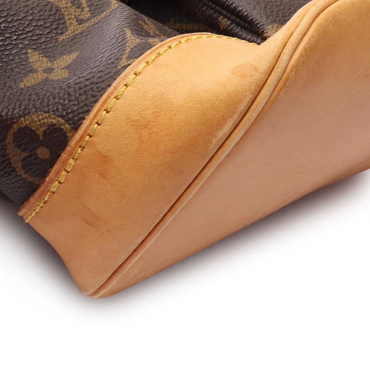 Louis Vuitton Monogram Montsouris GM