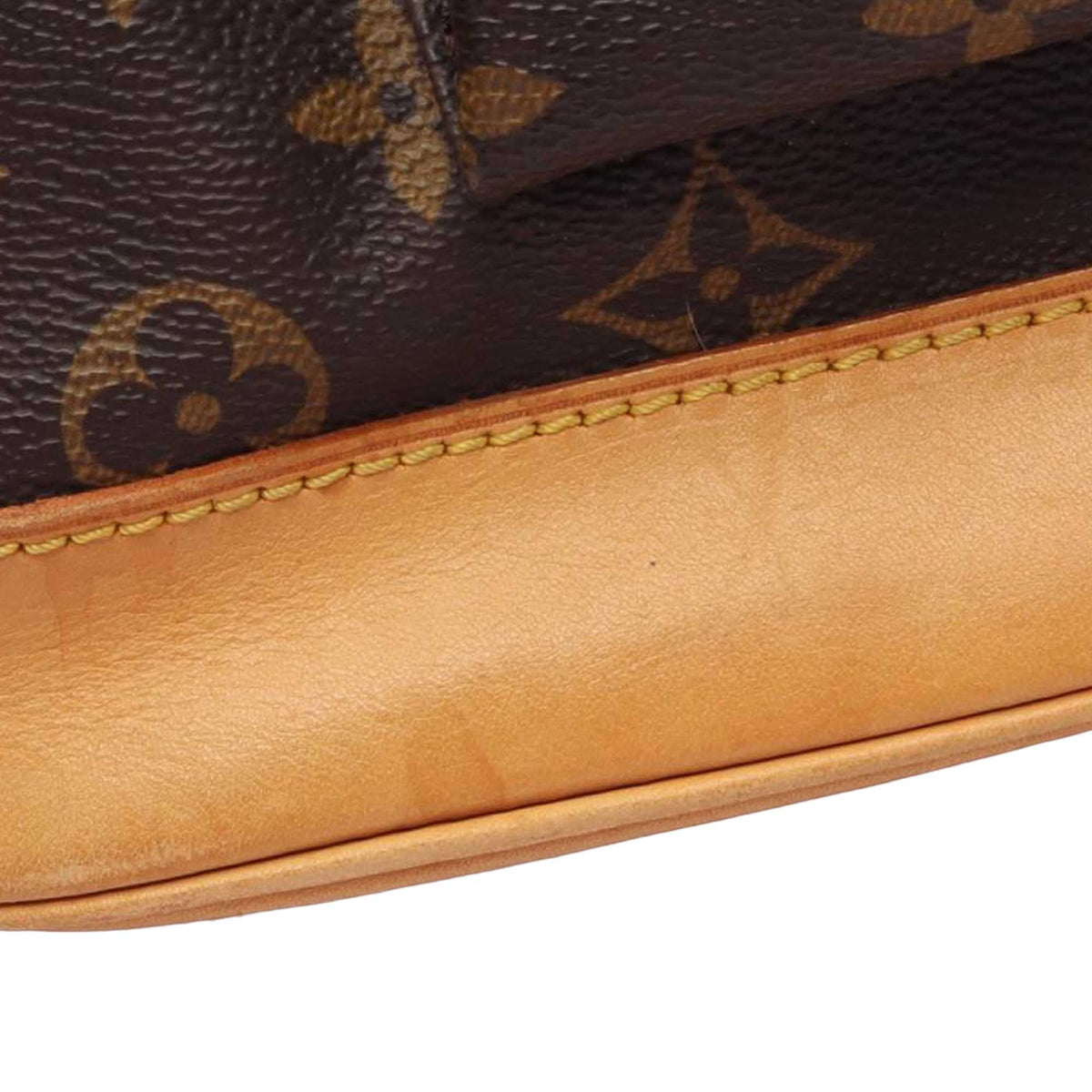 Louis Vuitton Monogram Montsouris GM