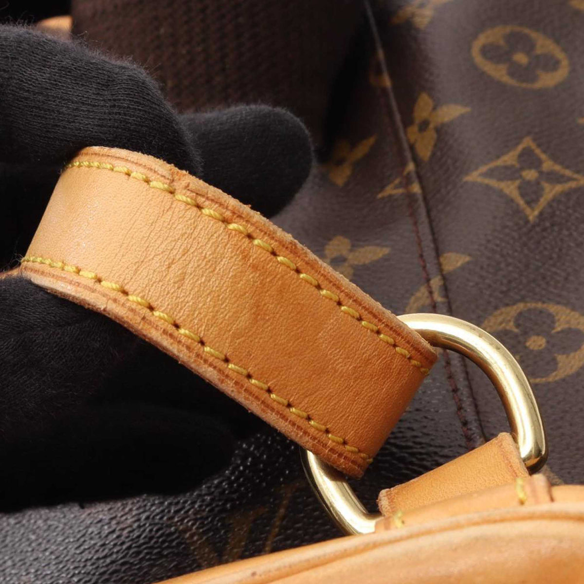 Louis Vuitton Monogram Montsouris GM