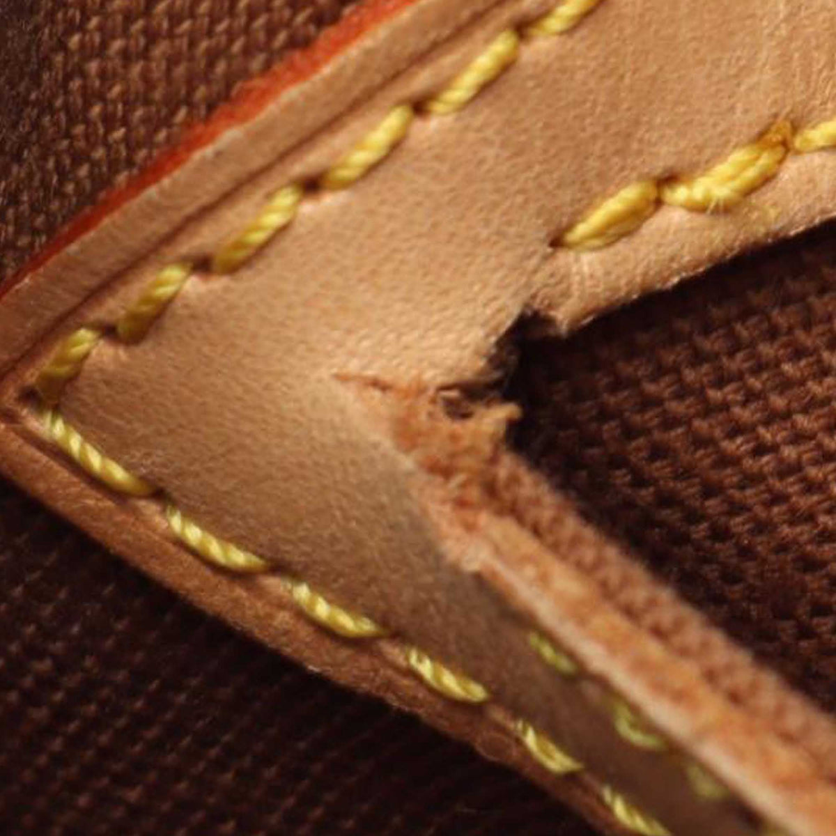Louis Vuitton Monogram Montsouris GM