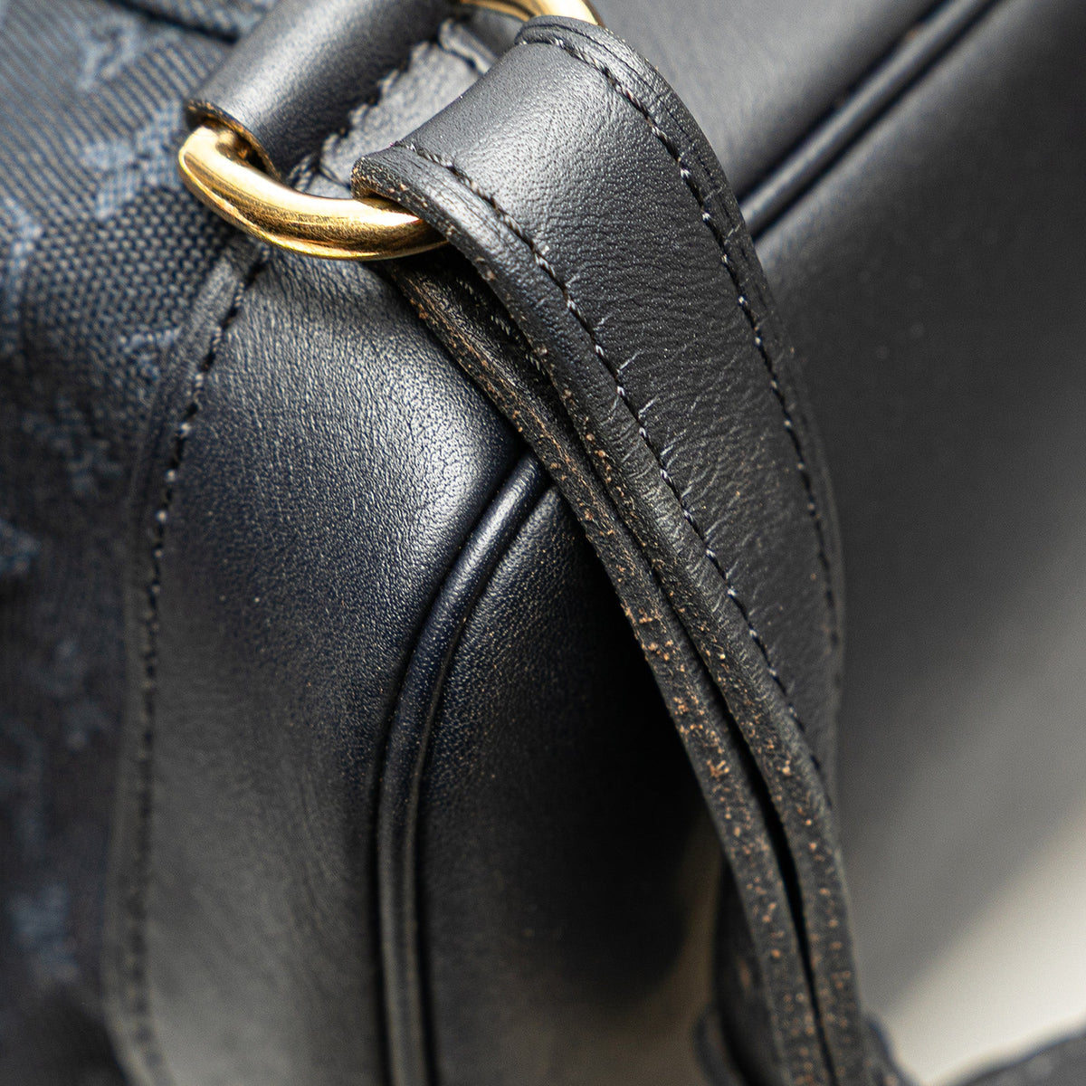 Louis Vuitton Monogram Mini Lin Montsouris GM