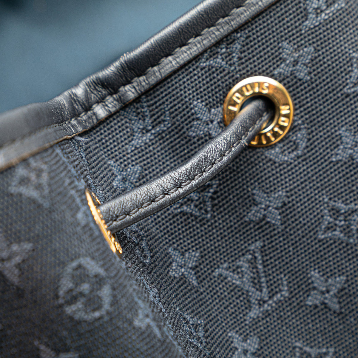 Louis Vuitton Monogram Mini Lin Montsouris GM