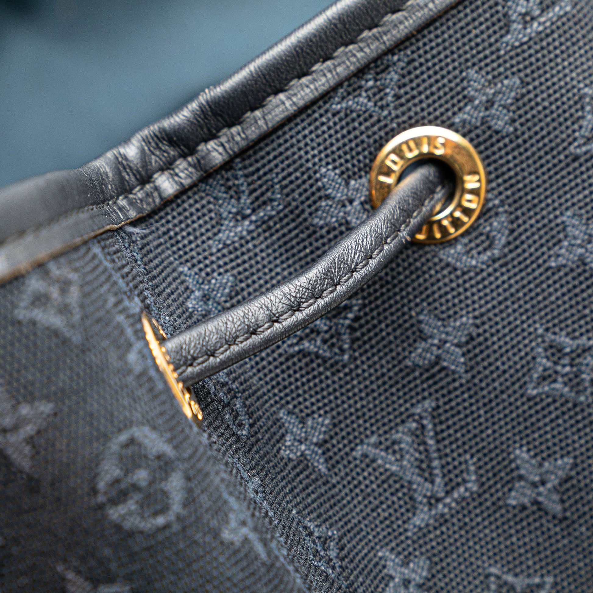 Louis Vuitton Monogram Mini Lin Montsouris GM